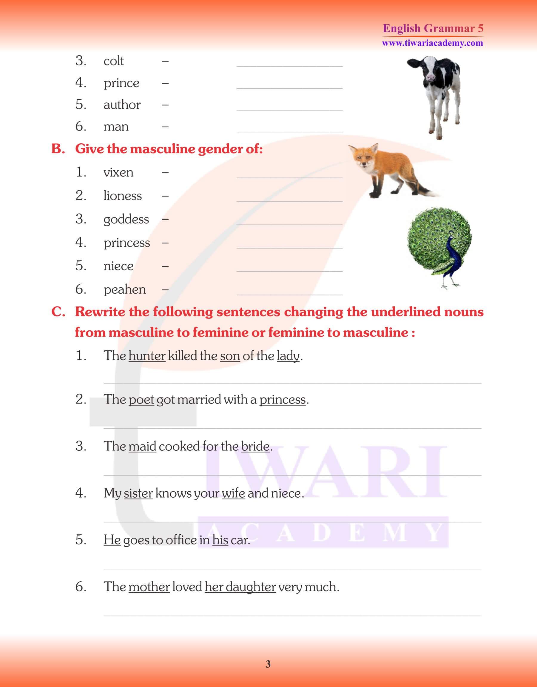 Class 5 English Grammar Noun Gender Worksheets