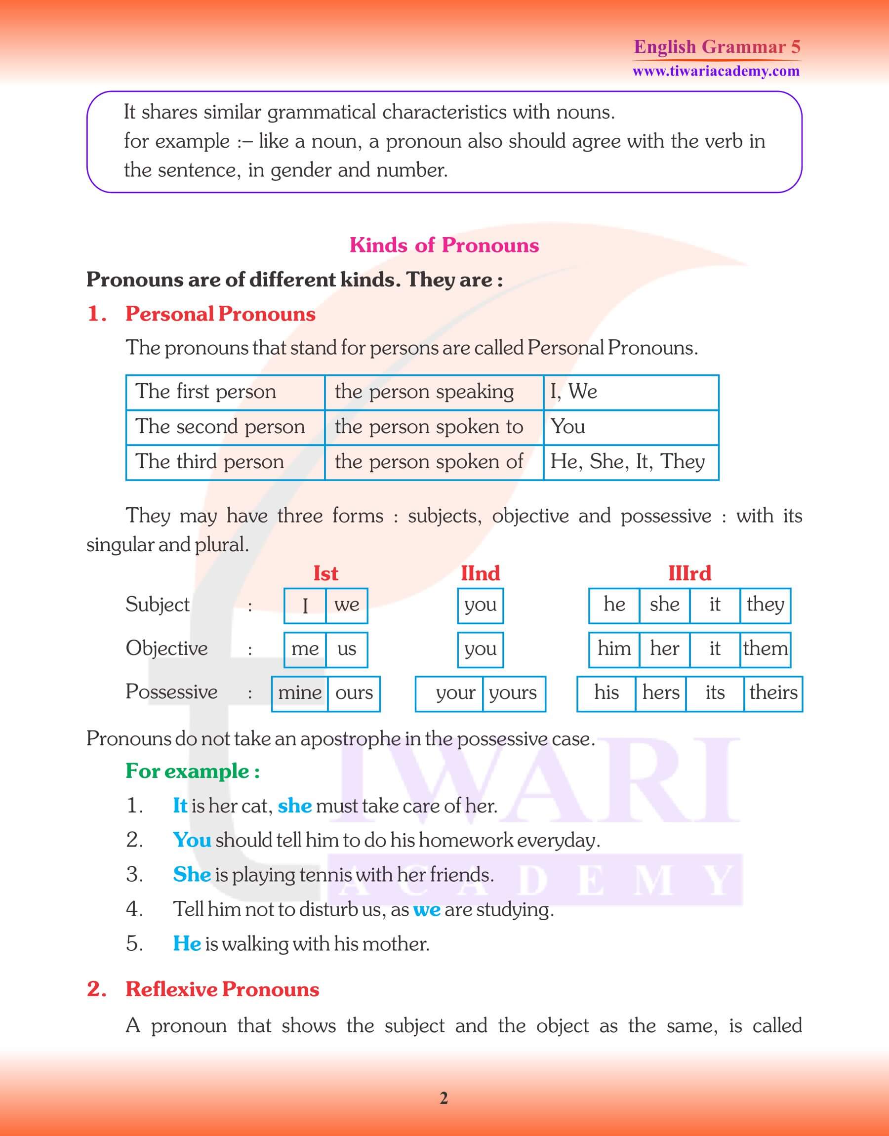 Class 5 English Grammar Pronoun Types