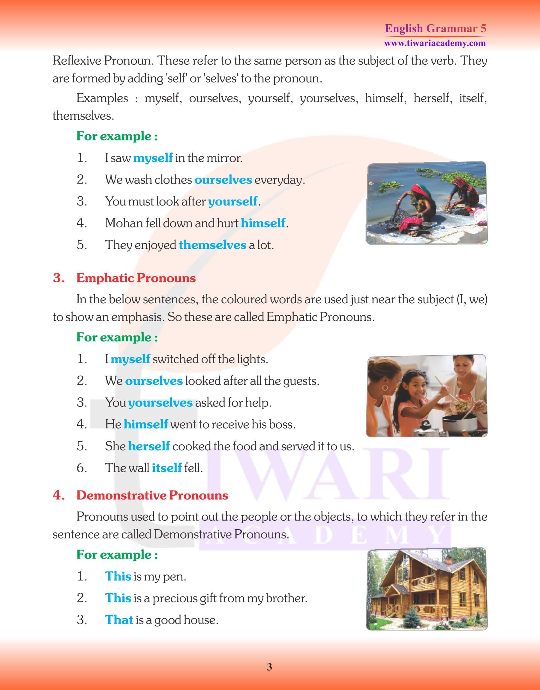 Class 5 English Grammar Pronoun Examples type