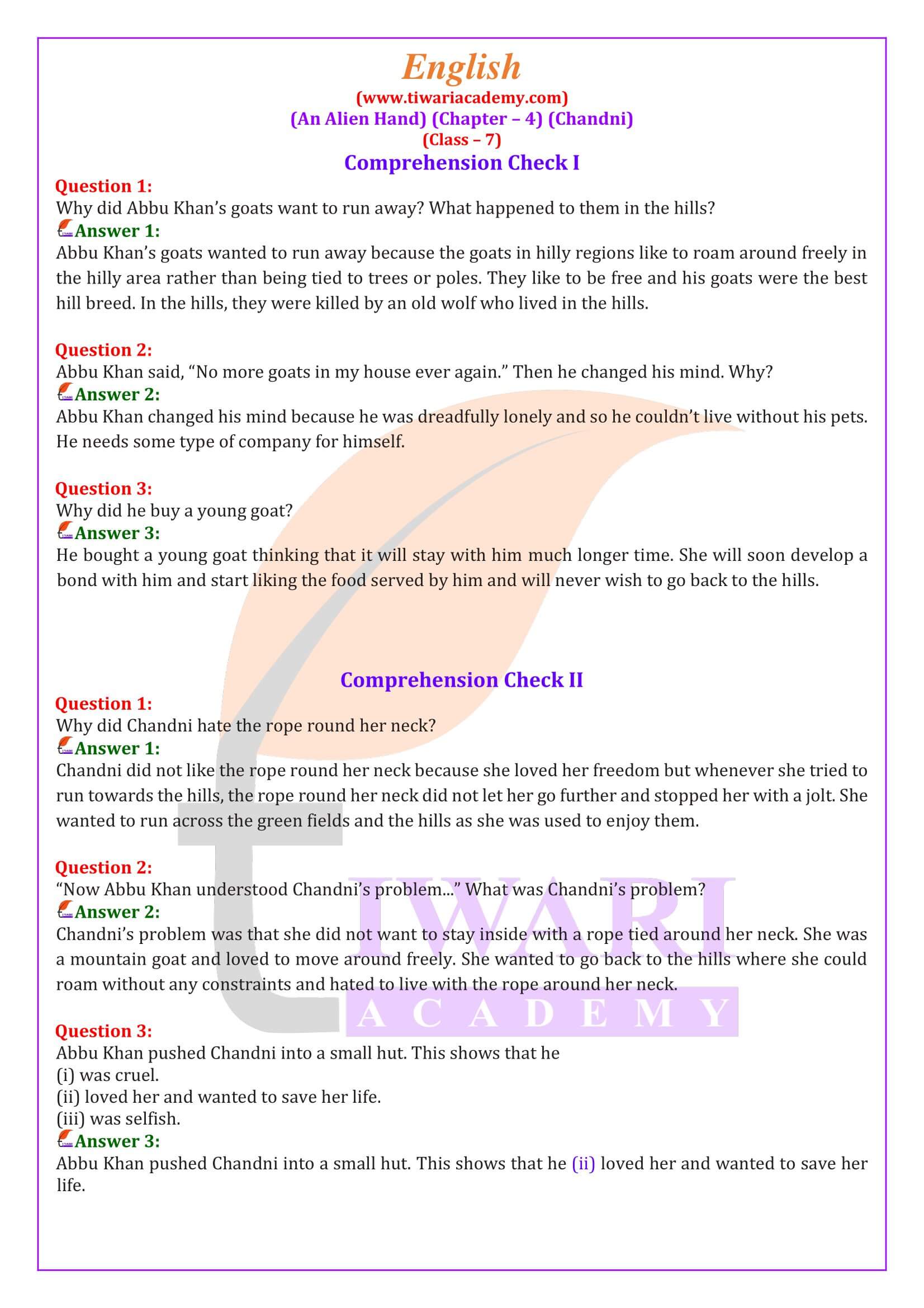 NCERT Solutions for Class 7 English an Alien Hand Chapter 4 Chandni