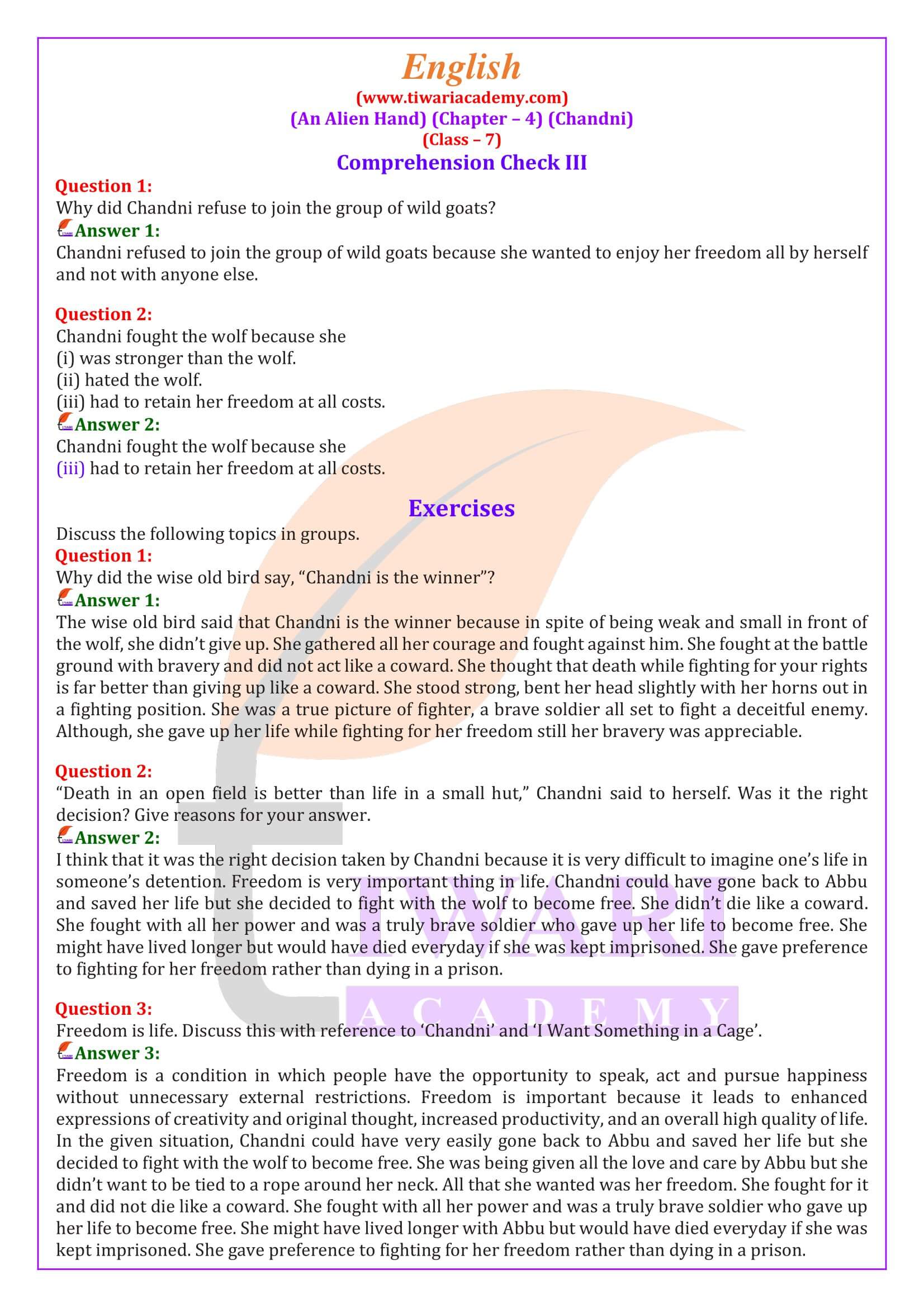 Class 7 English an Alien Hand Chapter 4 Chandni