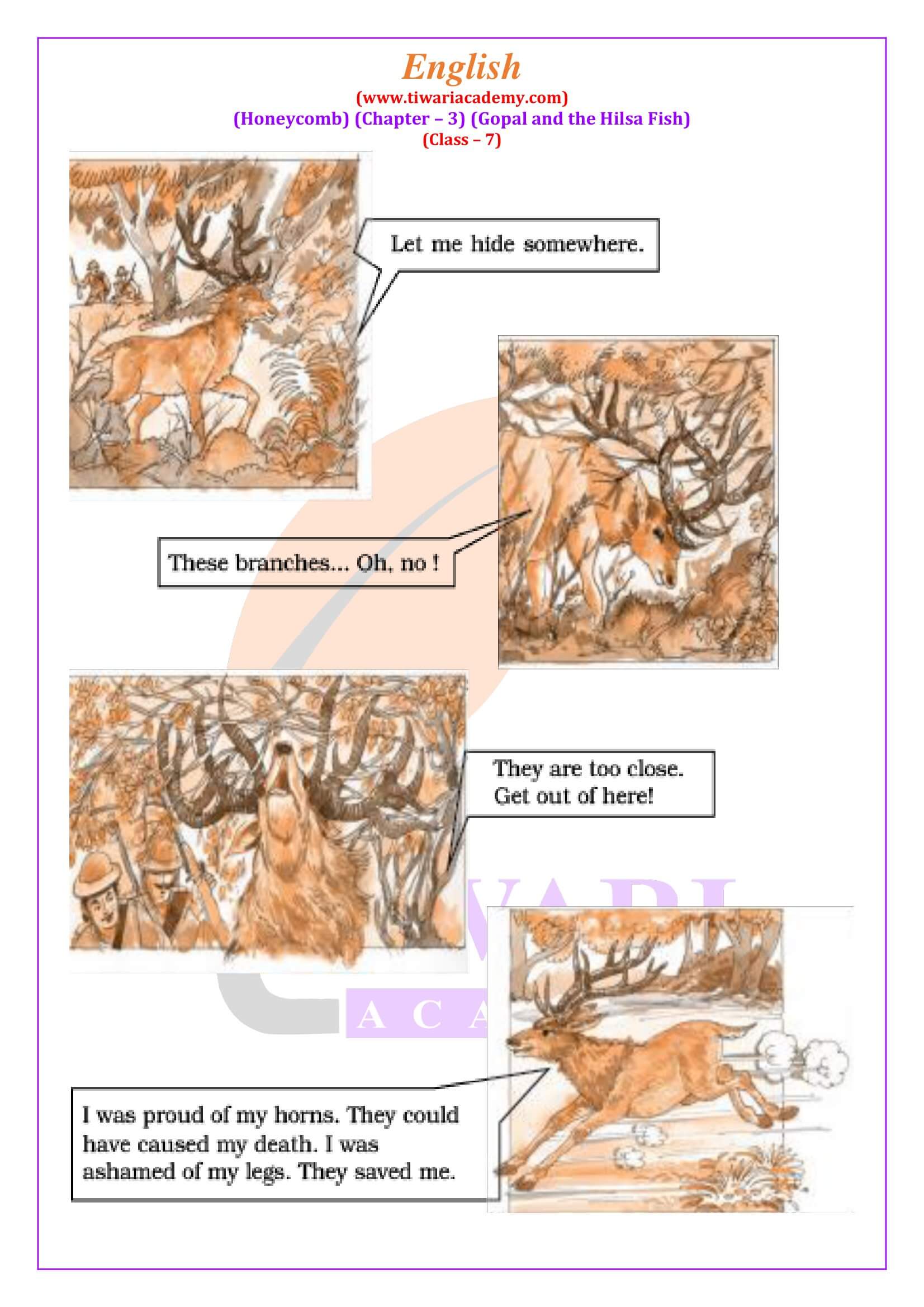 Class 7 English Honeycomb Chapter 3 Answers