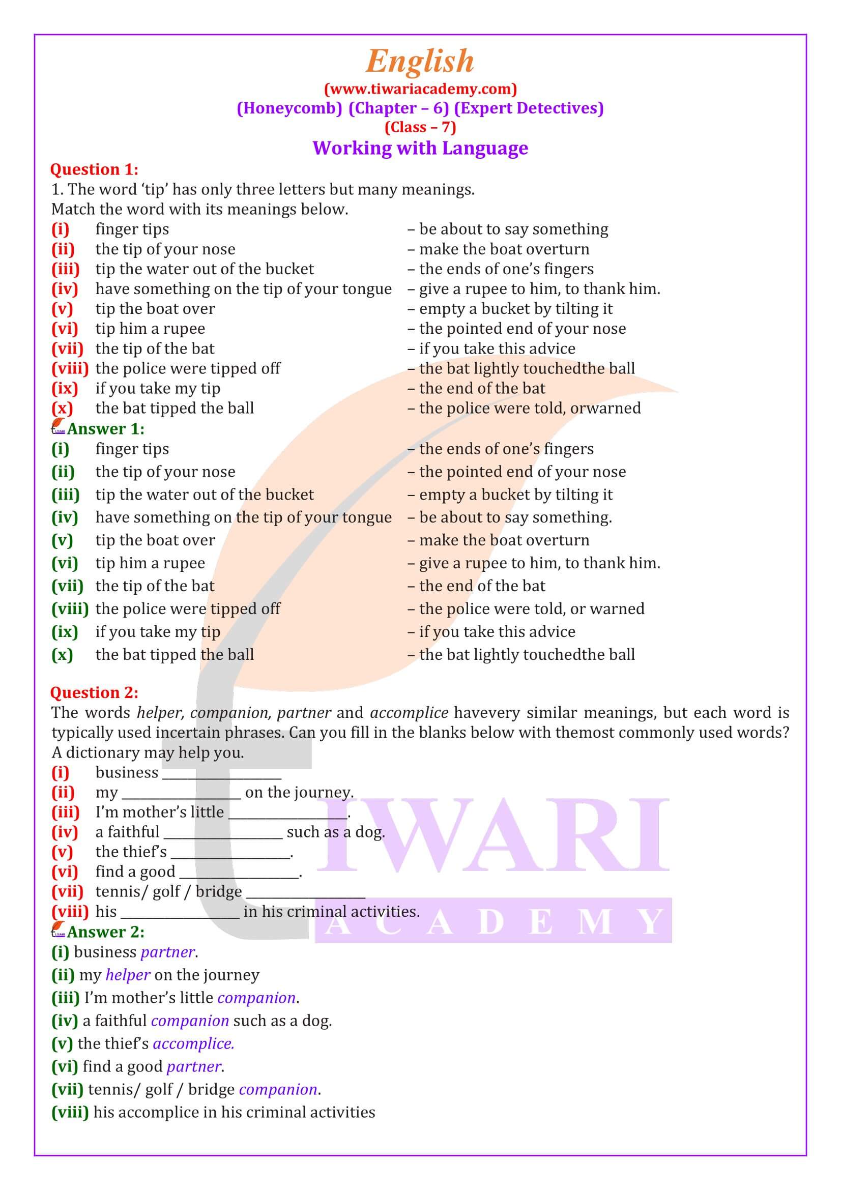 Class 7 English Honeycomb Chapter 6