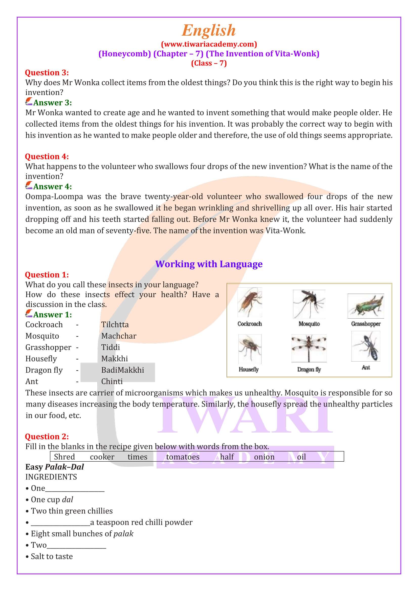 Class 7 English Honeycomb Chapter 7 The Invention of Vita-Work