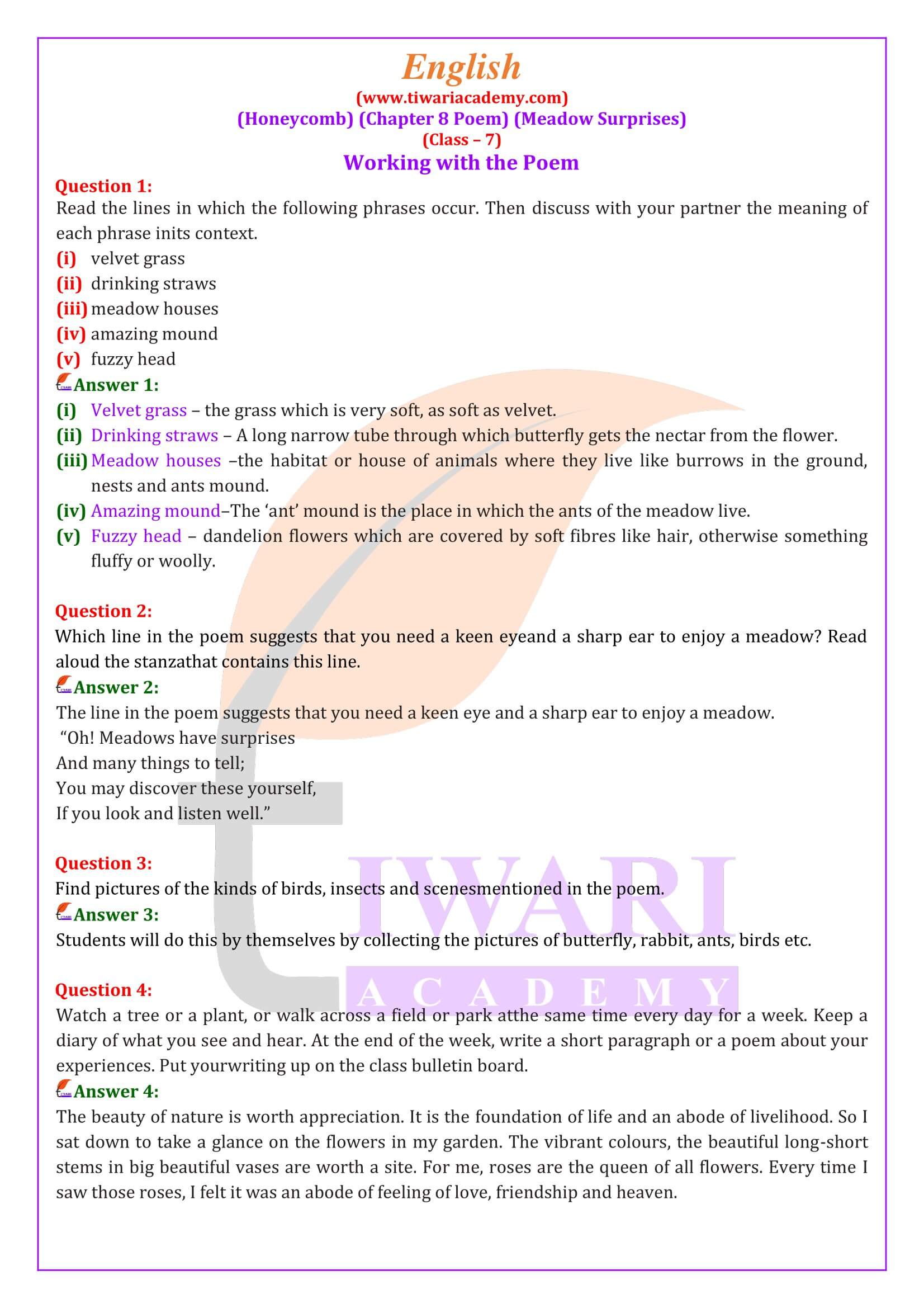 Class 7 English Poem 8 Meadow Surprises