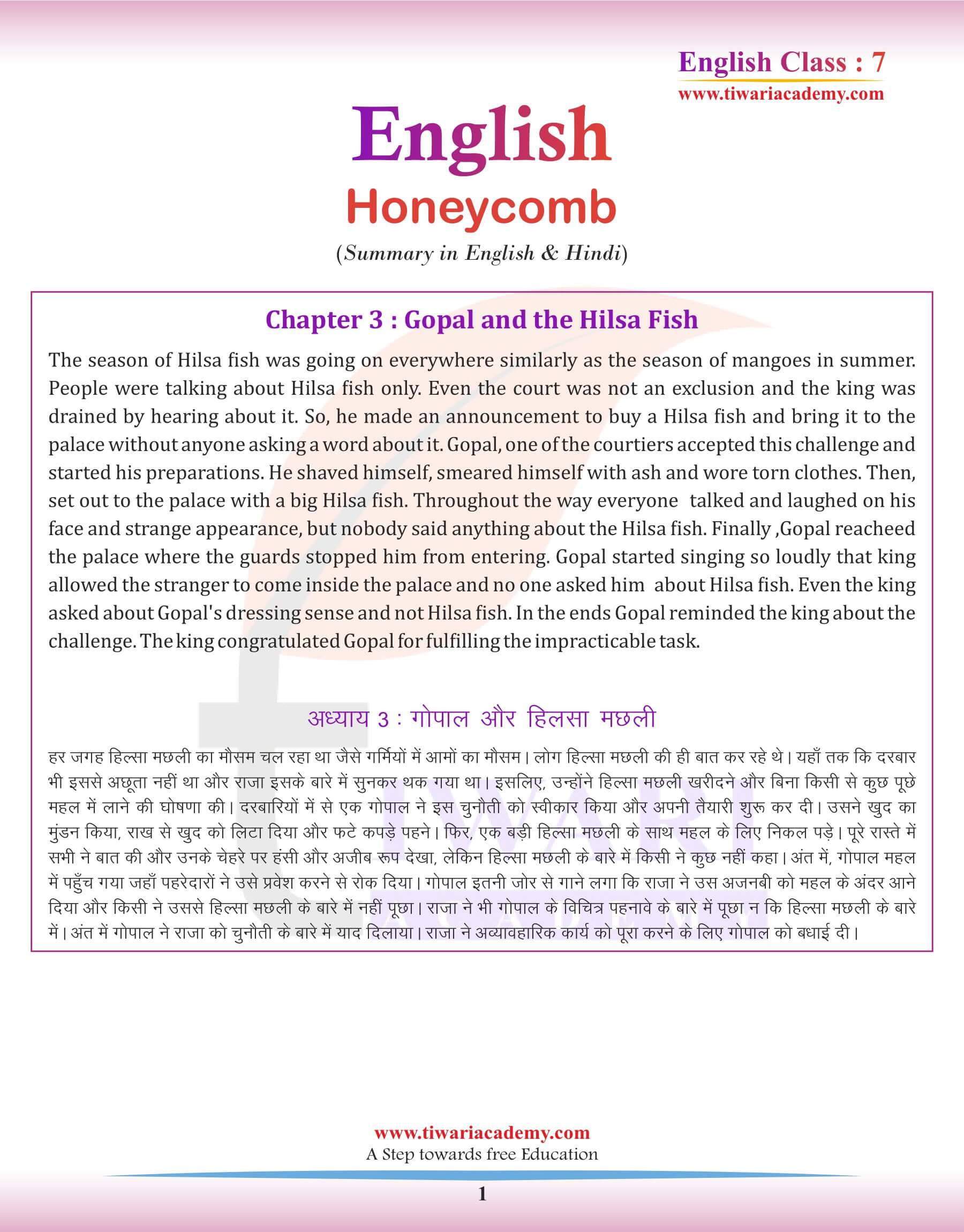 Class 7 English Chapter 3 Summary in Hindi English