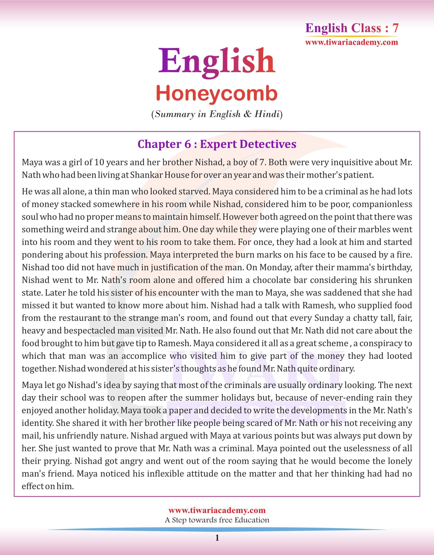 Class 7 English Chapter 6 Summary in English
