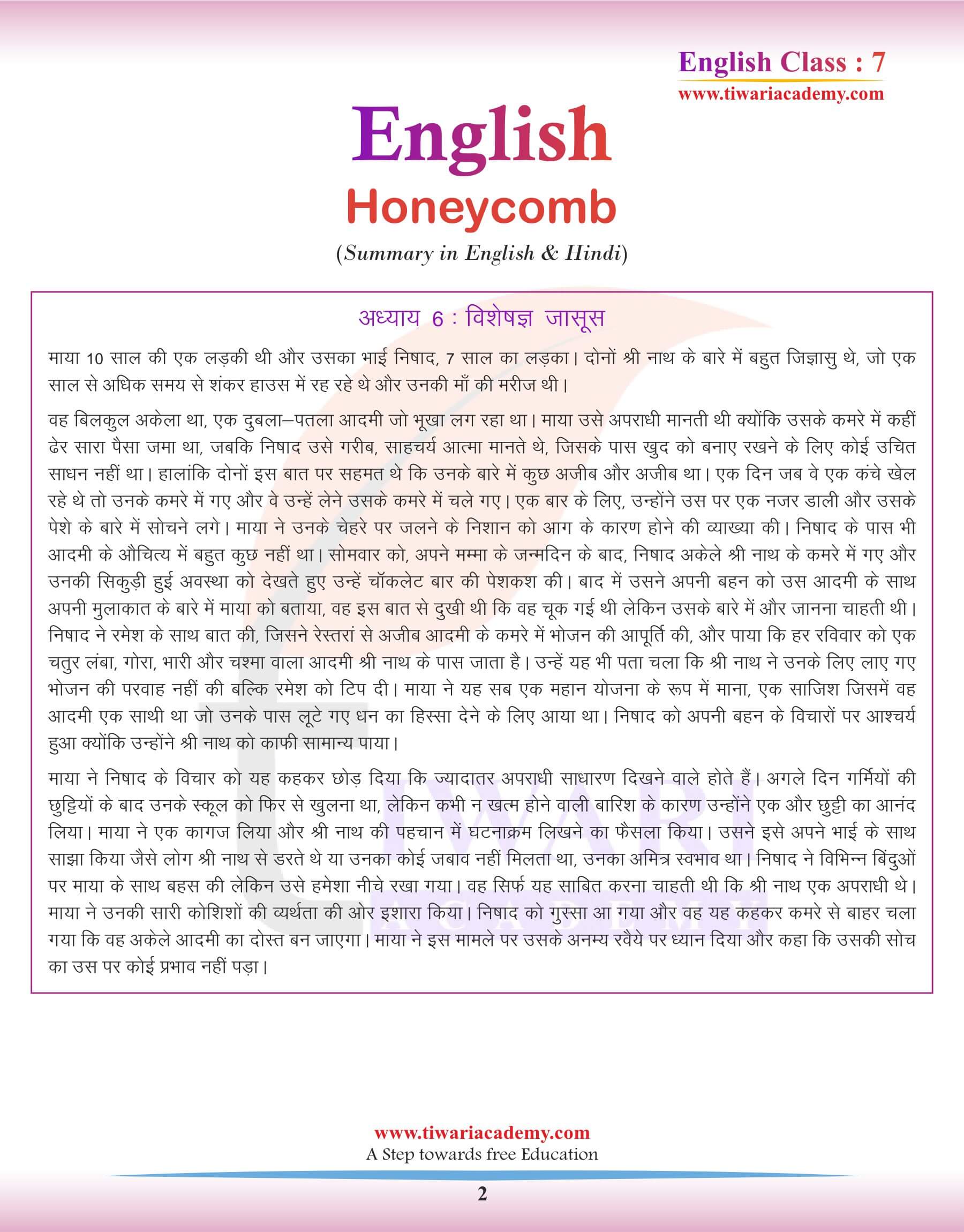 Class 7 English Chapter 6 Summary in Hindi