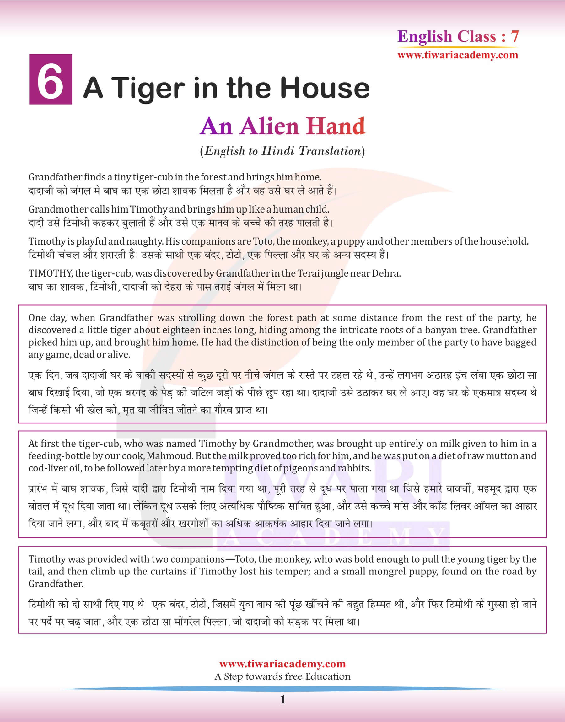 Class 7 English Chapter 6 English to Hindi Translation