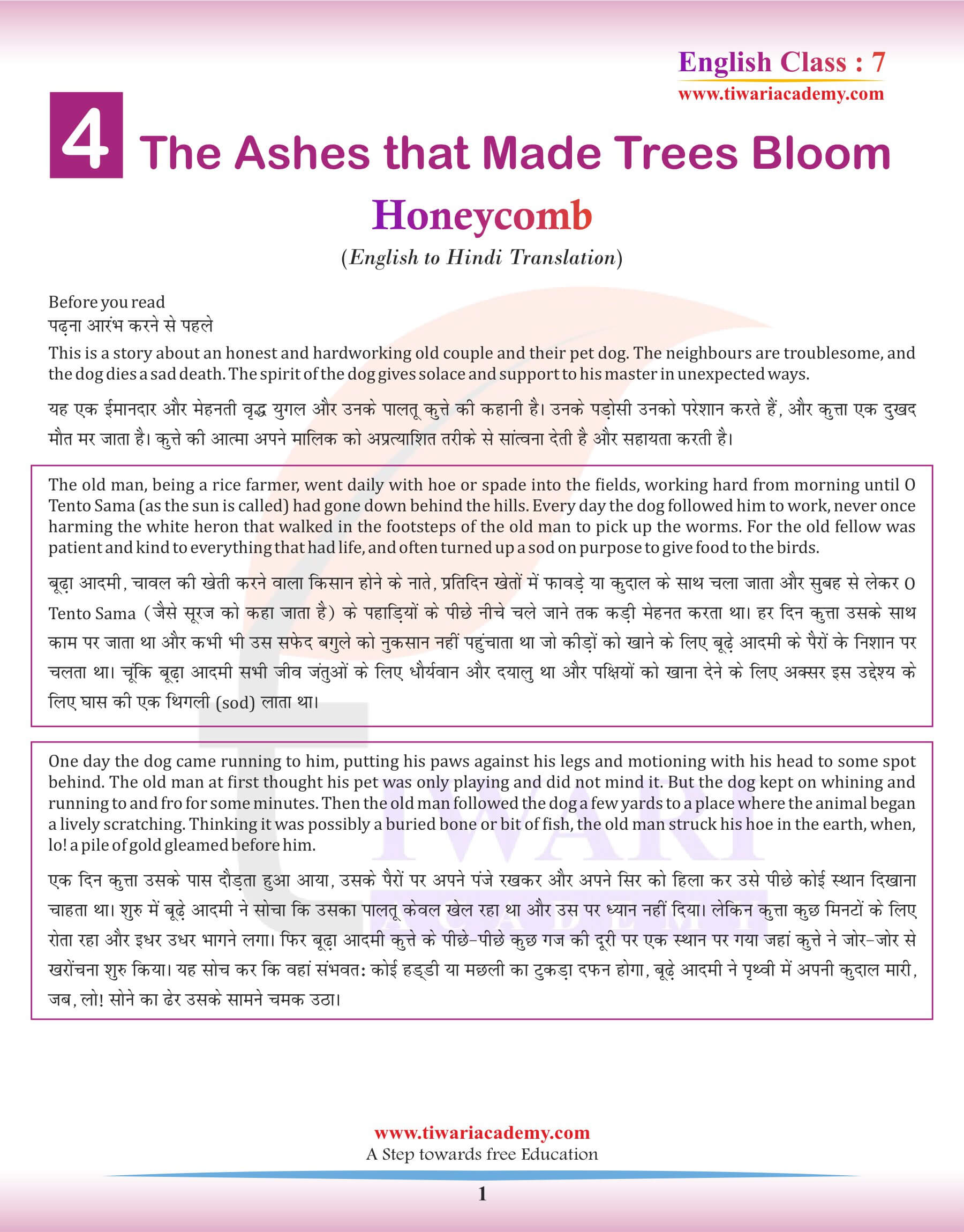 Class 7 English Chapter 4 English to Hindi Translation