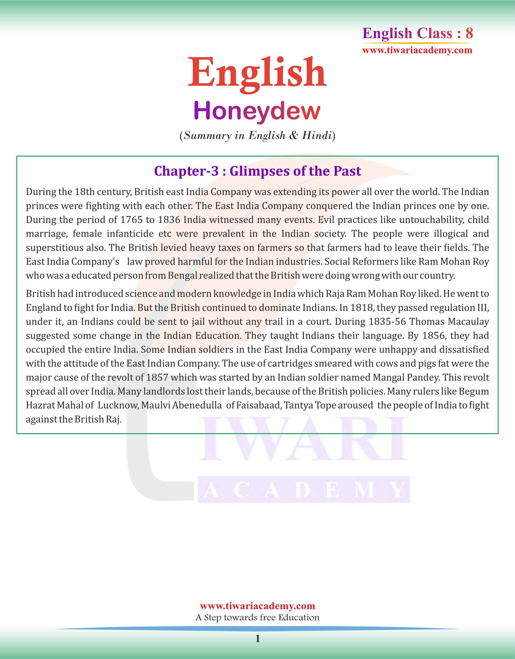 Class 8 English Chapter 3 Summary in English