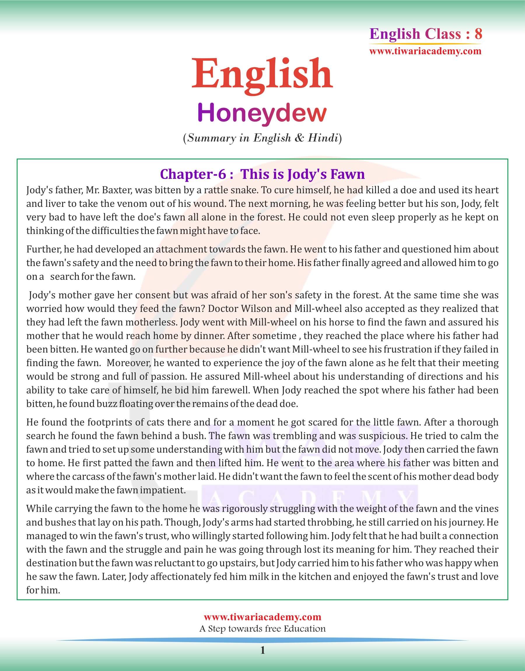 Class 8 English Chapter 6 Summary in English