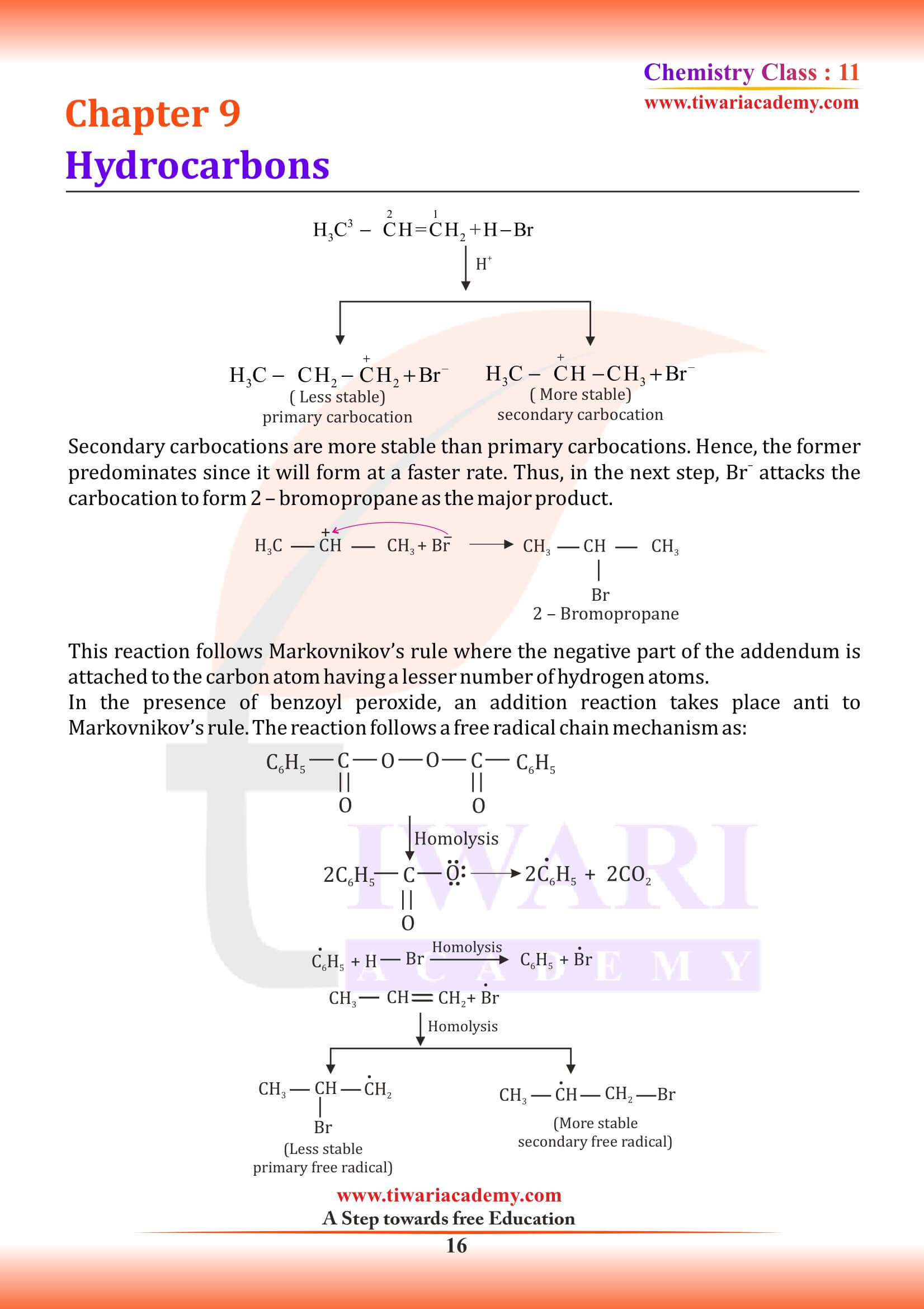 Class 11 Chemistry Chapter 9 NCERT Exercises