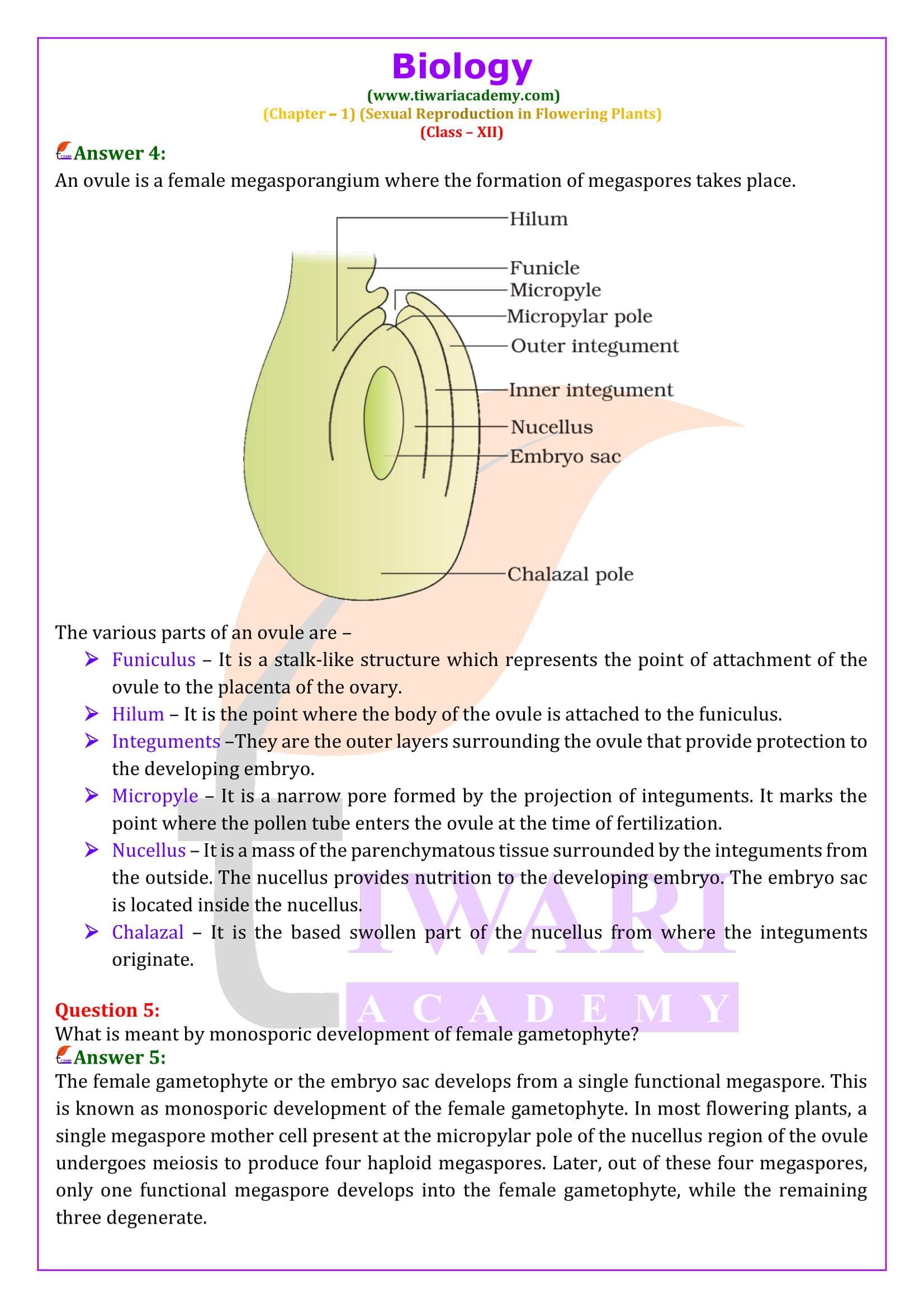 Class 12 Biology Chapter 1 Sexual Reproduction in Flowering Plants