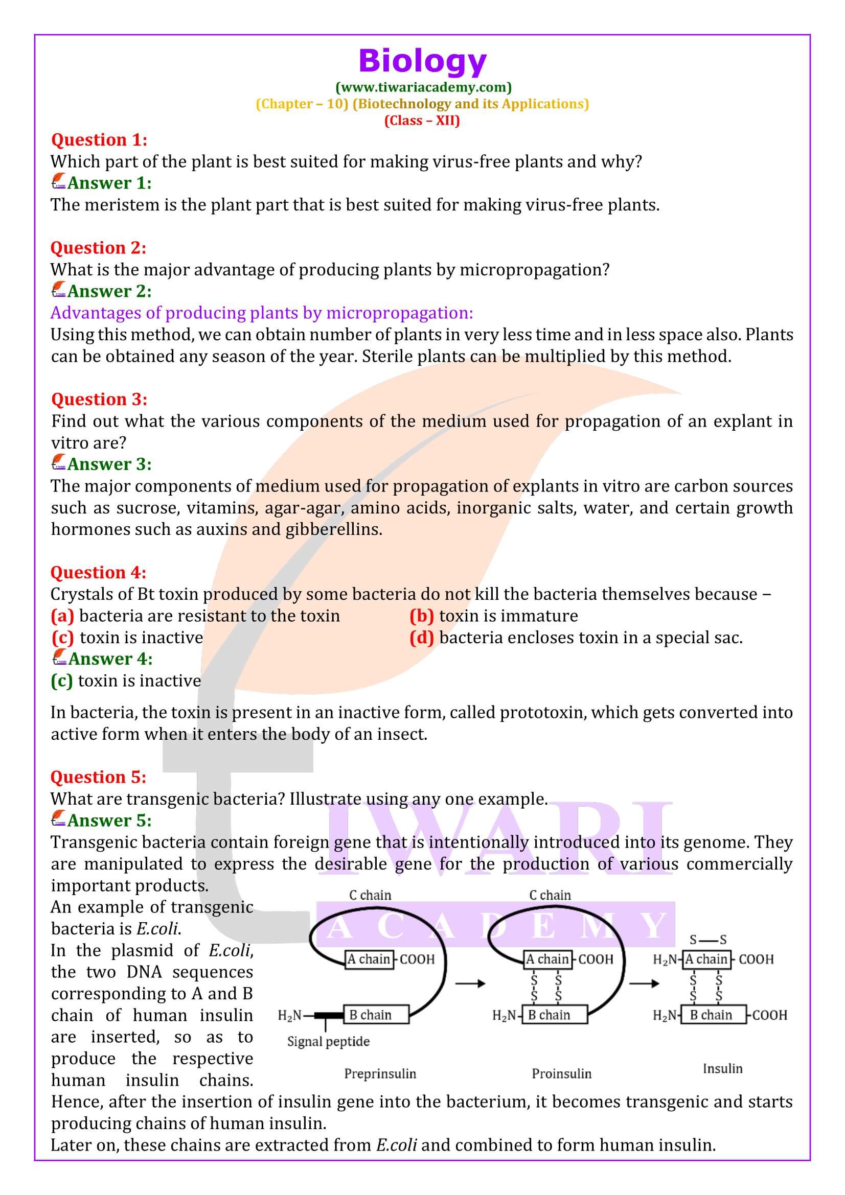 Class 12 Biology Chapter 10 Biotechnology and its Applications