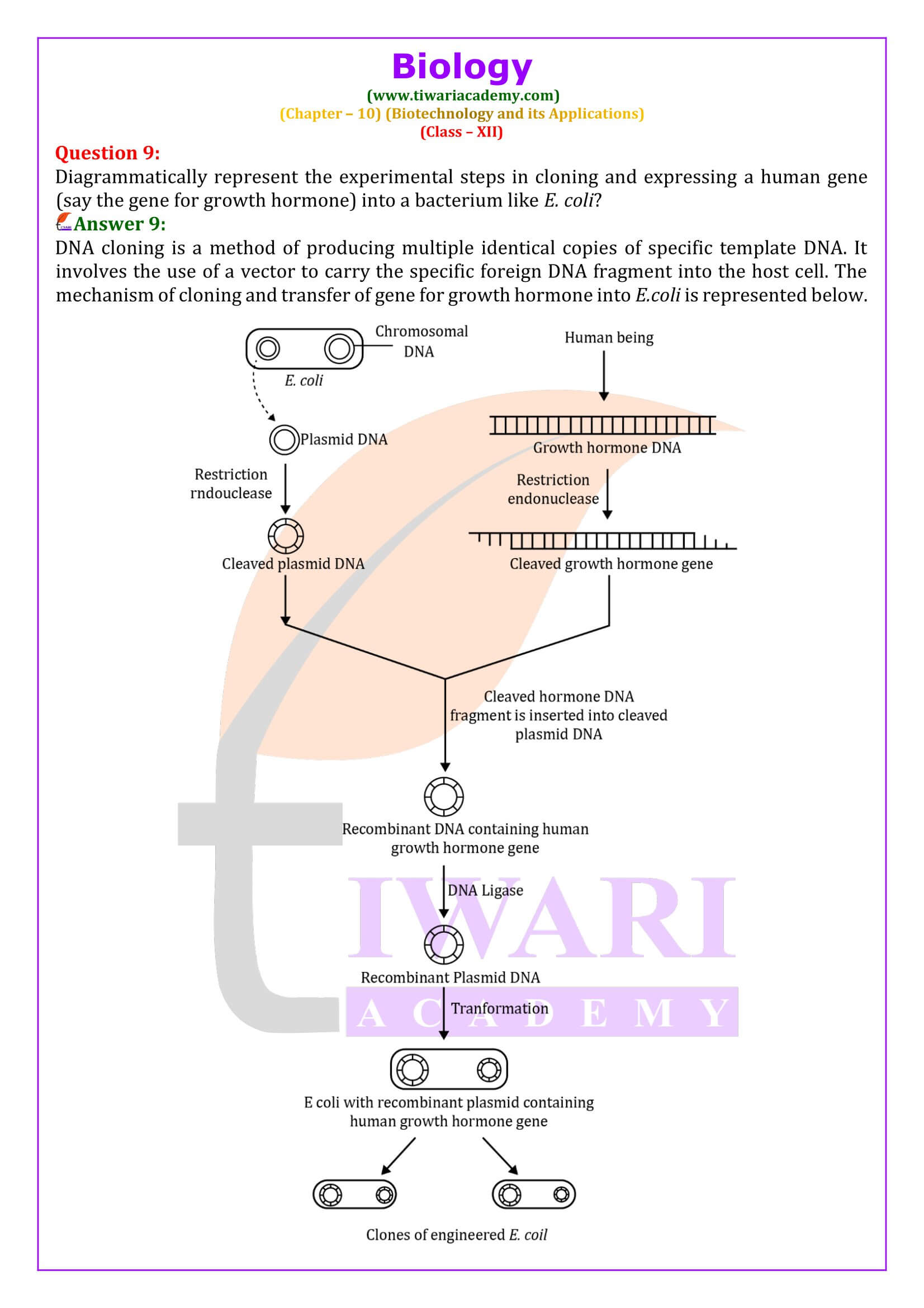 NCERT Solutions for Class 12 Biology Chapter 10 in English Medium