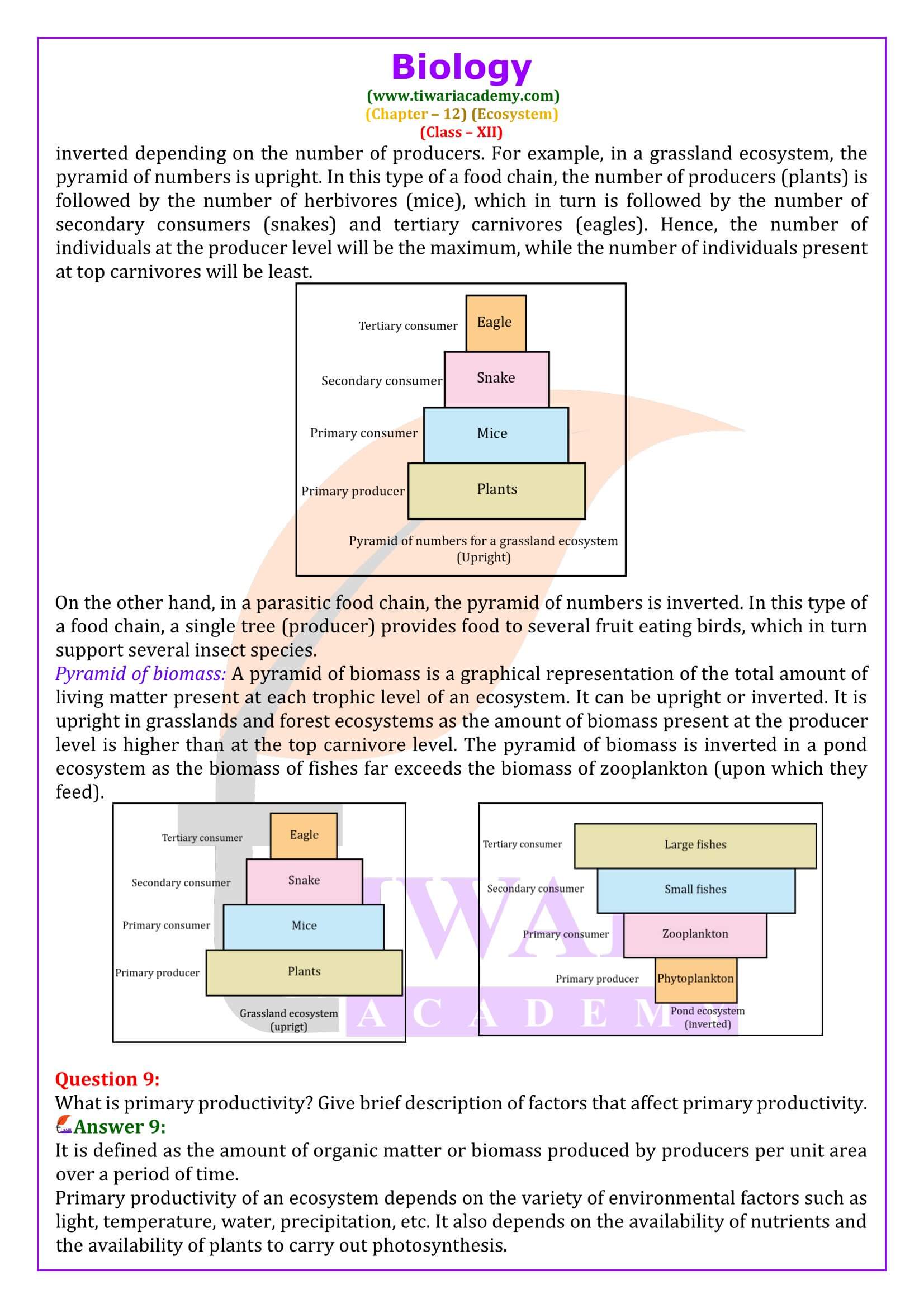 Class 12 Biology Chapter 12