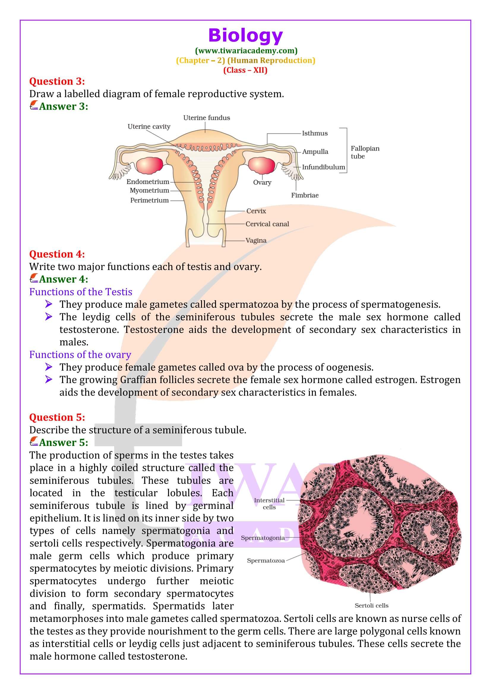 NCERT Solutions for Class 12 Biology Chapter 2