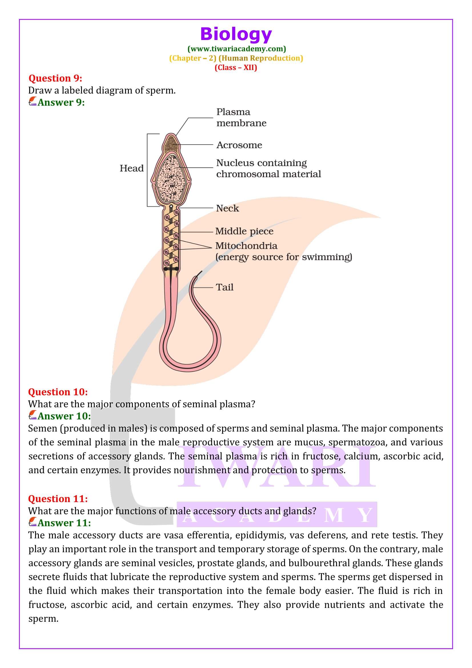 NCERT Solutions for Class 12 Biology Chapter 2 updated