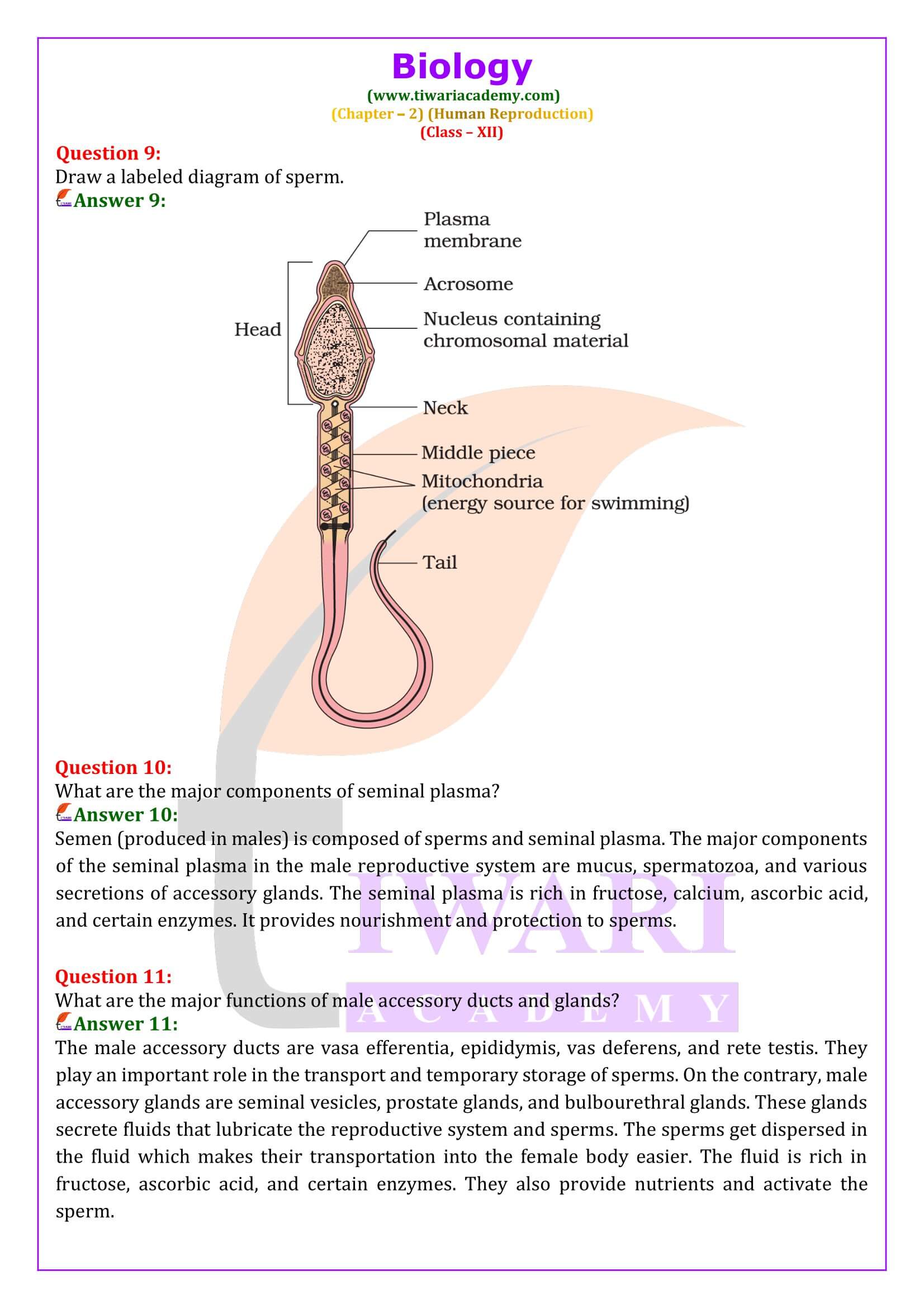 NCERT Solutions for Class 12 Biology Chapter 2 updated