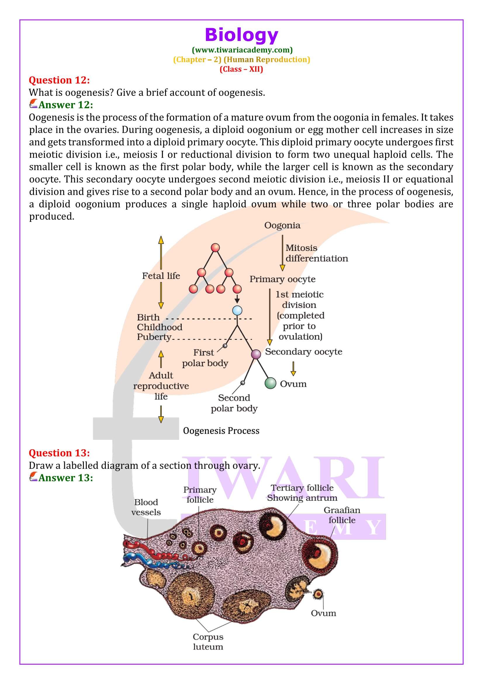 Class 12 Biology Chapter 2