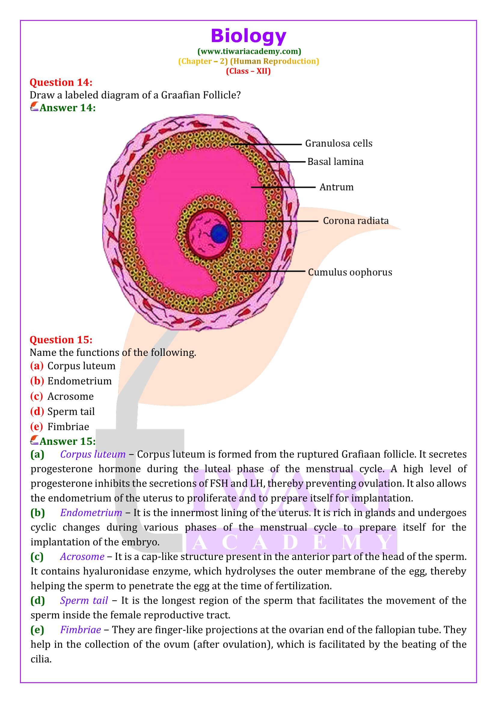 Class 12 Biology Chapter 2 Solutions