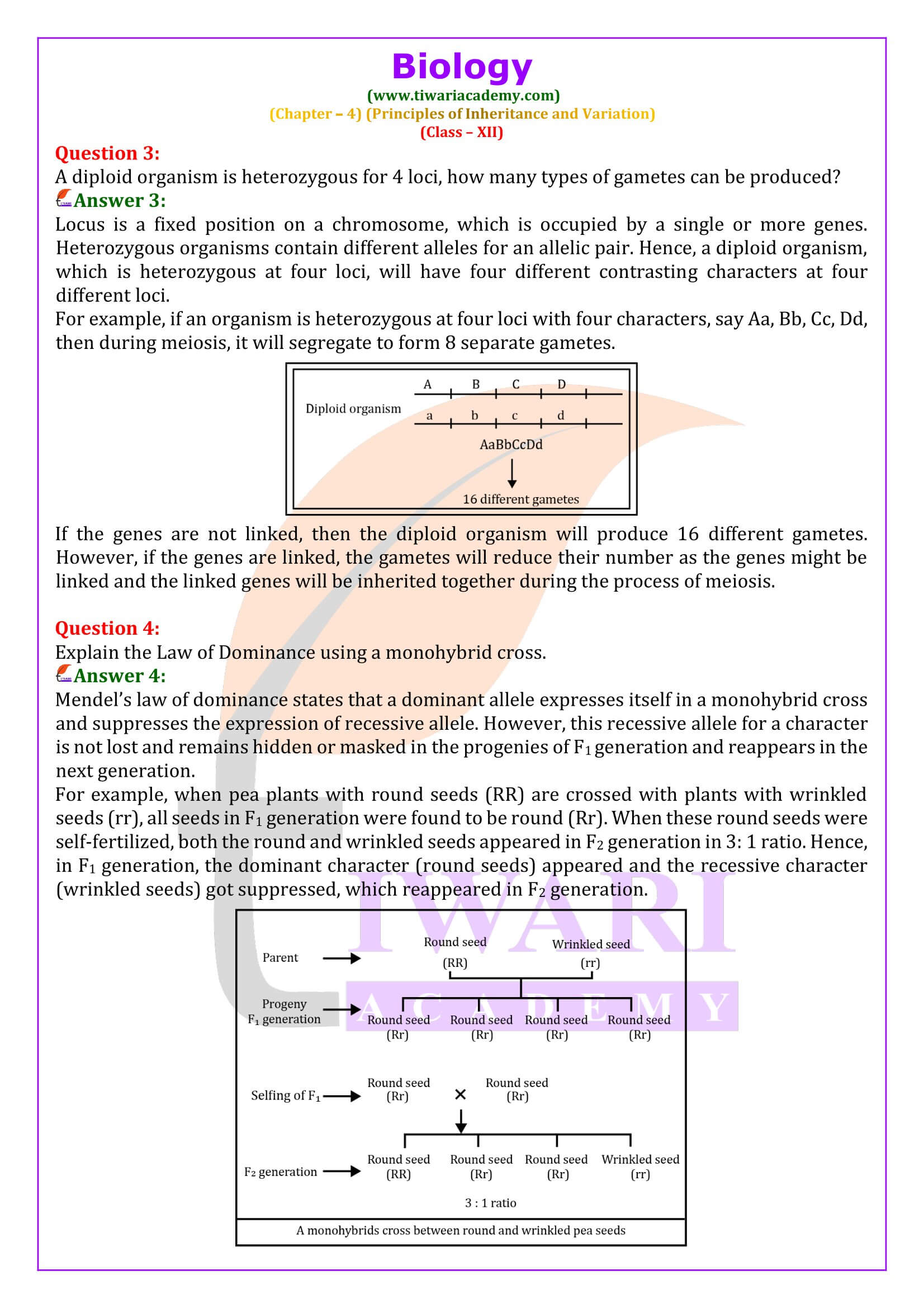 NCERT Solutions for Class 12 Biology Chapter 4