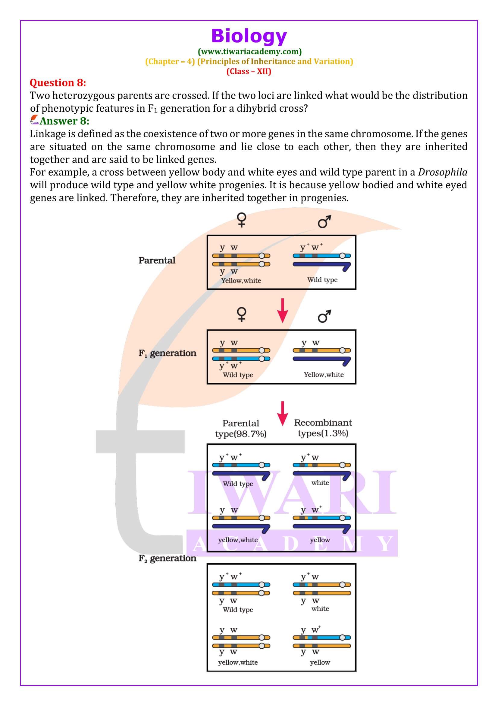 NCERT Solutions for Class 12 Biology Chapter 4 Answers
