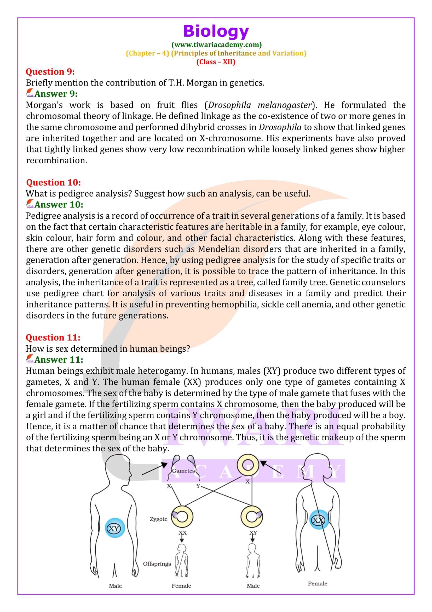 Class 12 Biology Chapter 4