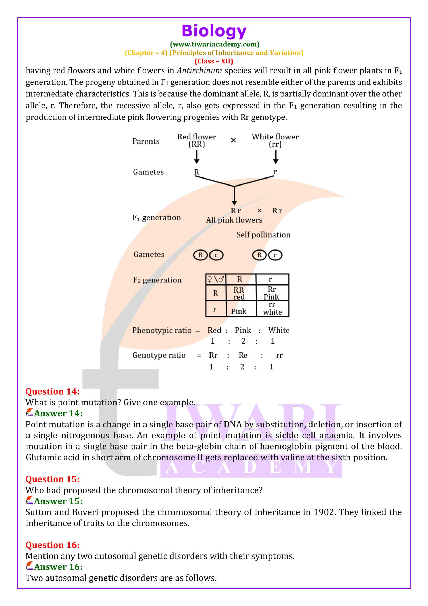 Class 12 Biology Chapter 4 Exercises Answers