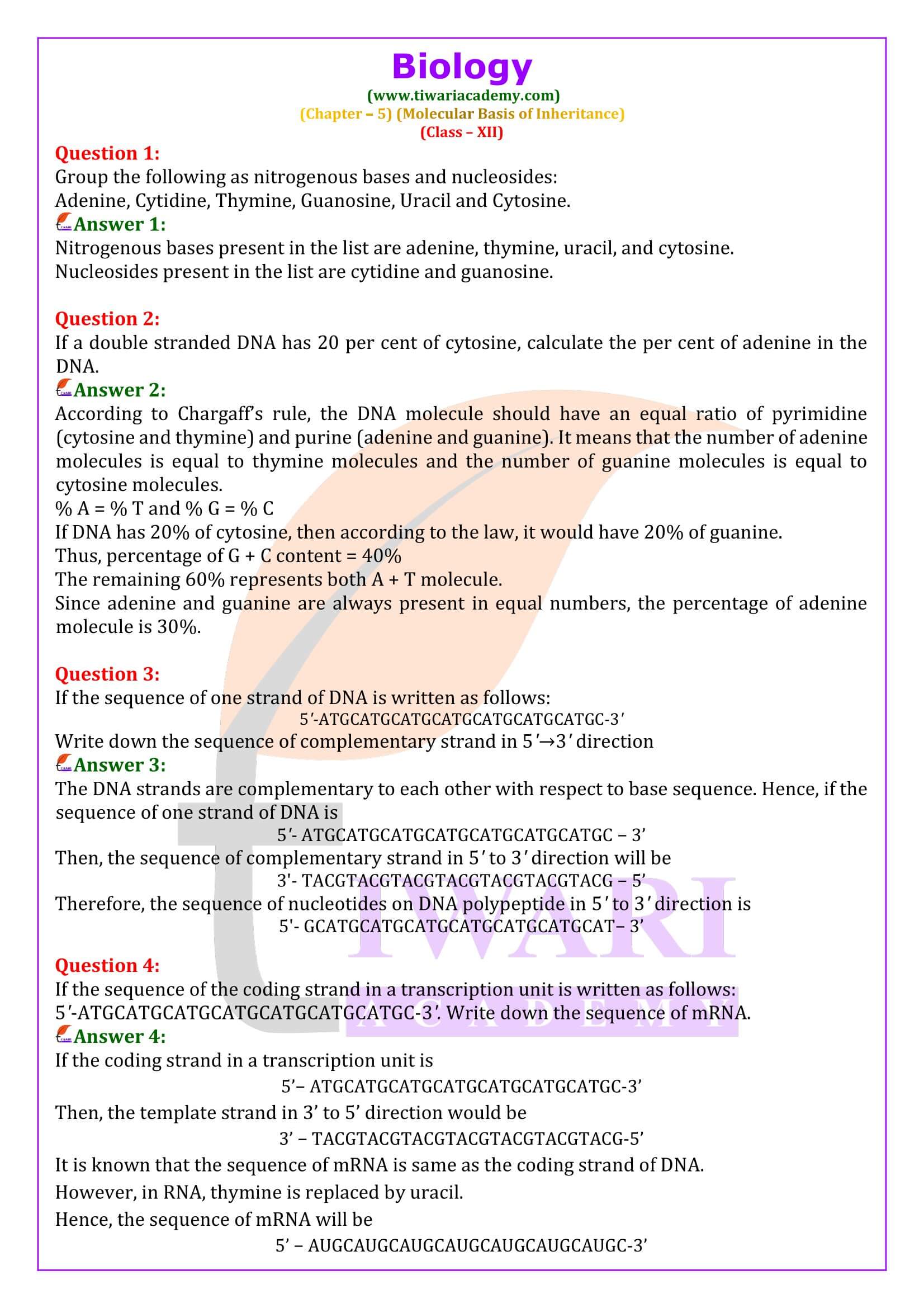 Class 12 Biology Chapter 5 Molecular Basis of Inheritance