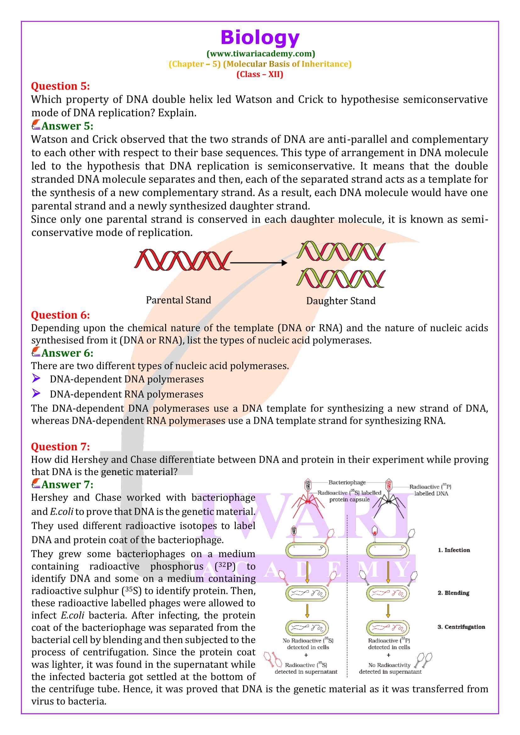 NCERT Solutions for Class 12 Biology Chapter 5