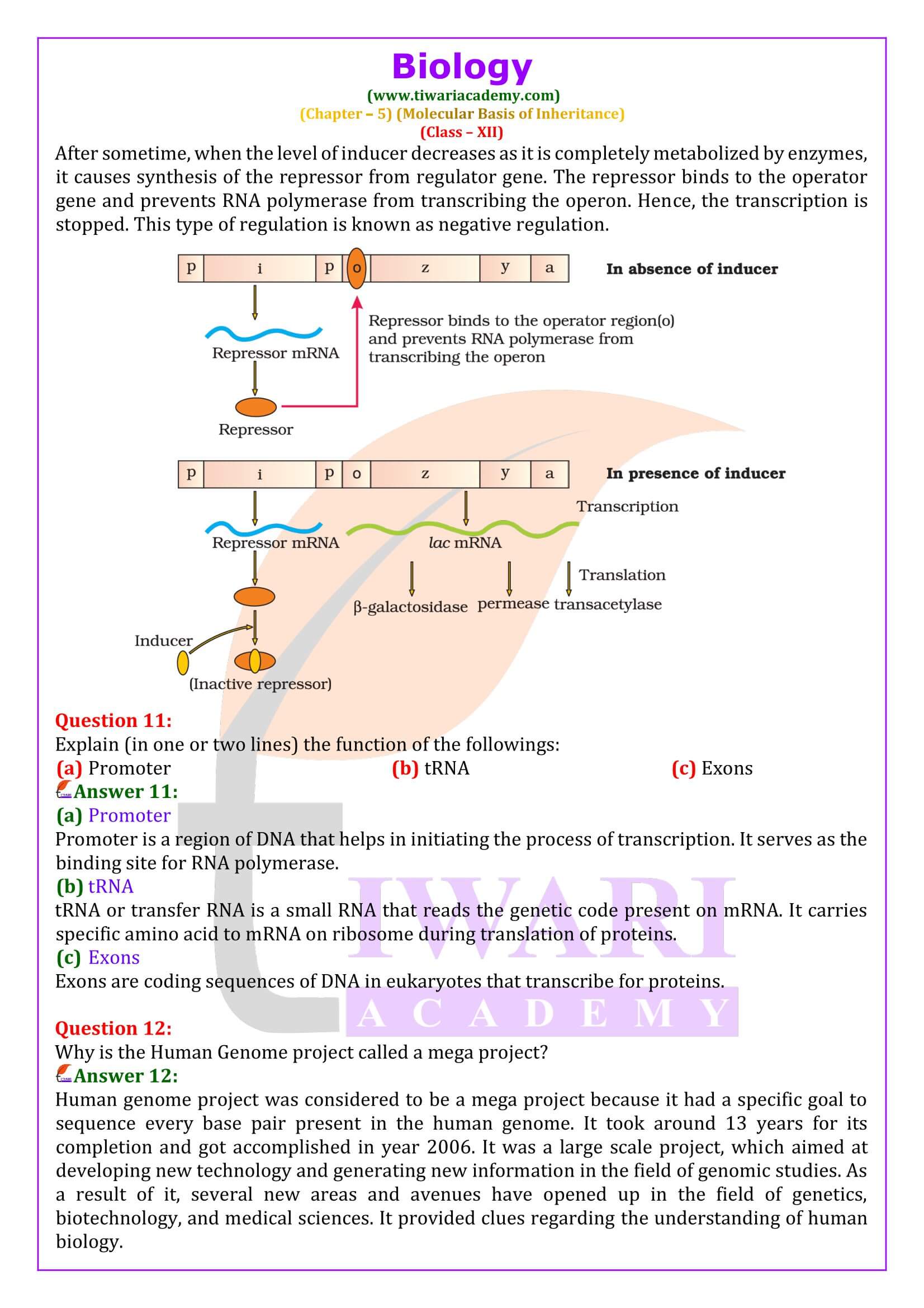 Class 12 Biology Chapter 5