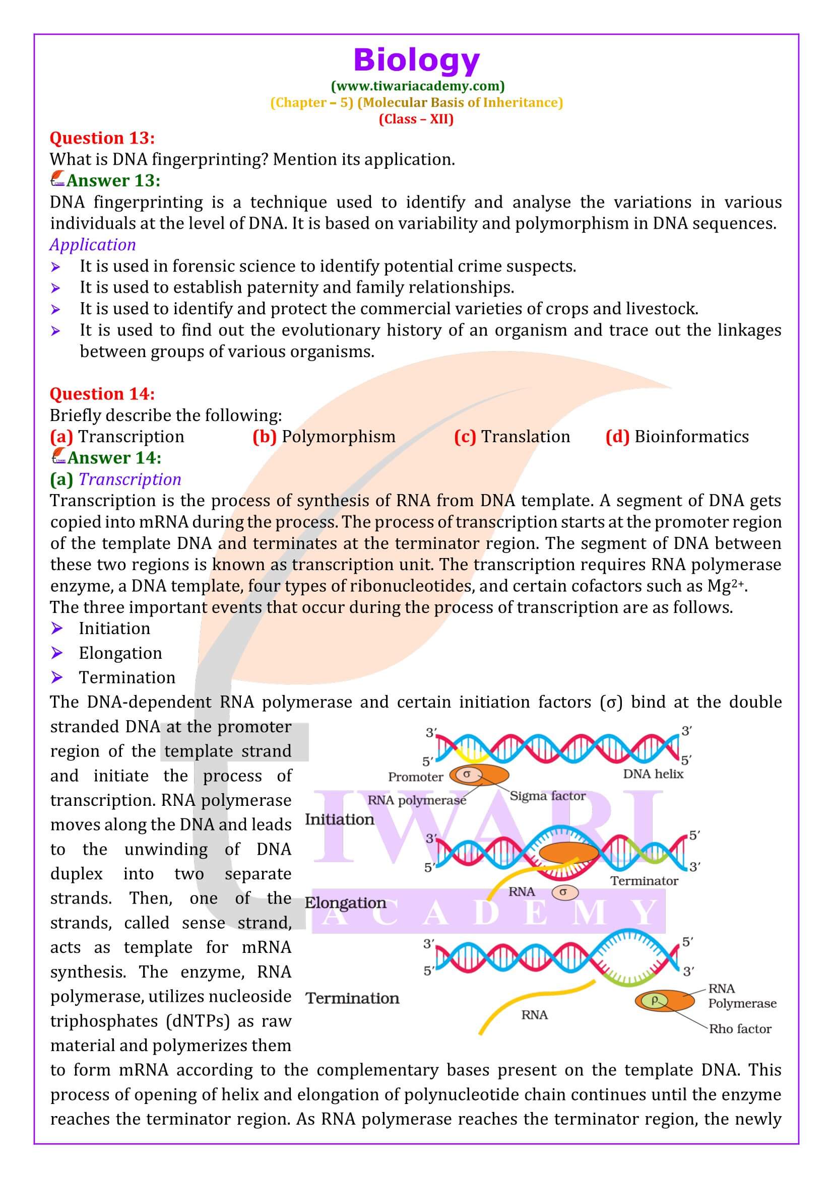 Class 12 Biology Chapter 5 Answers