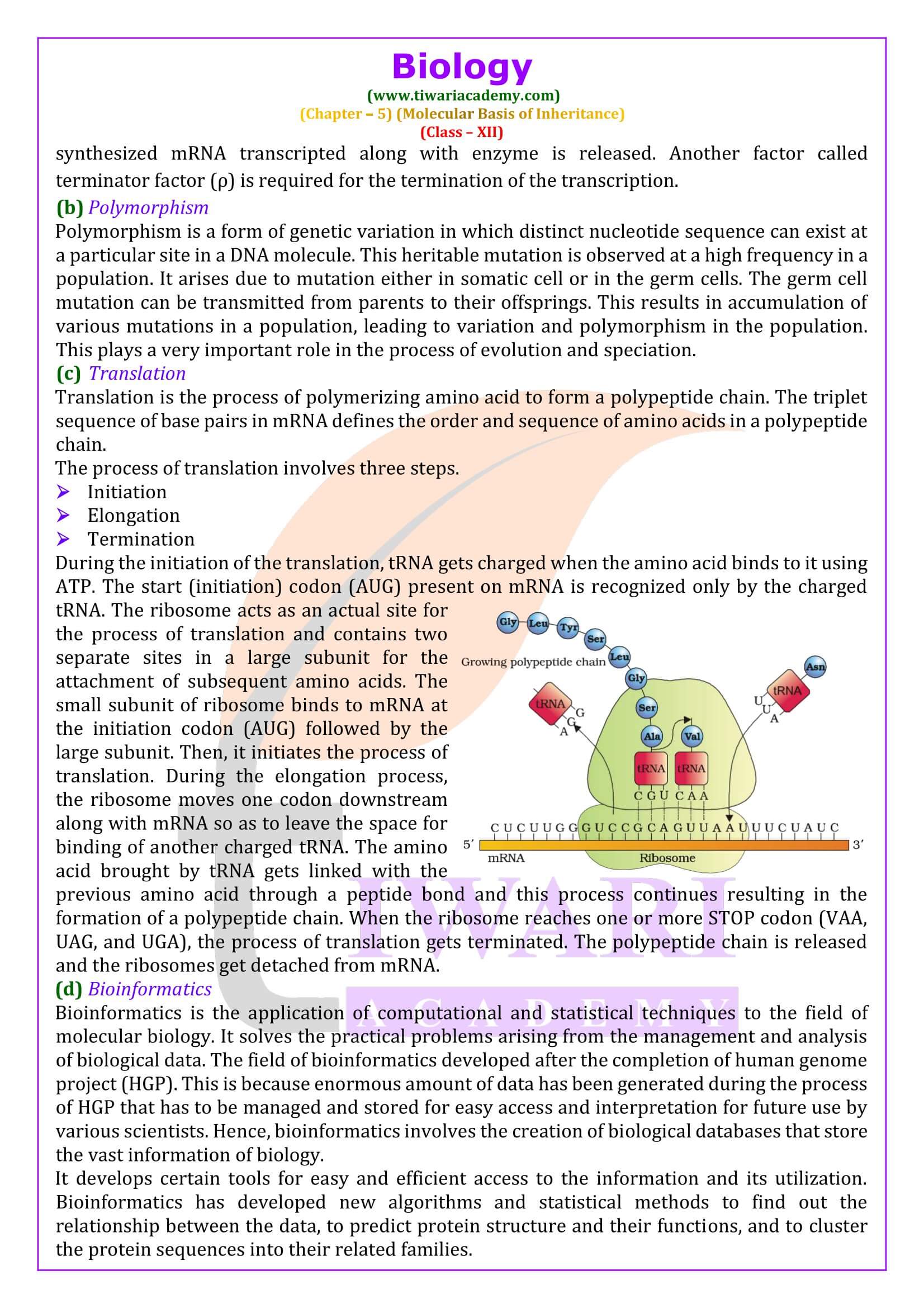 Class 12 Biology Chapter 5 NCERT Solutions