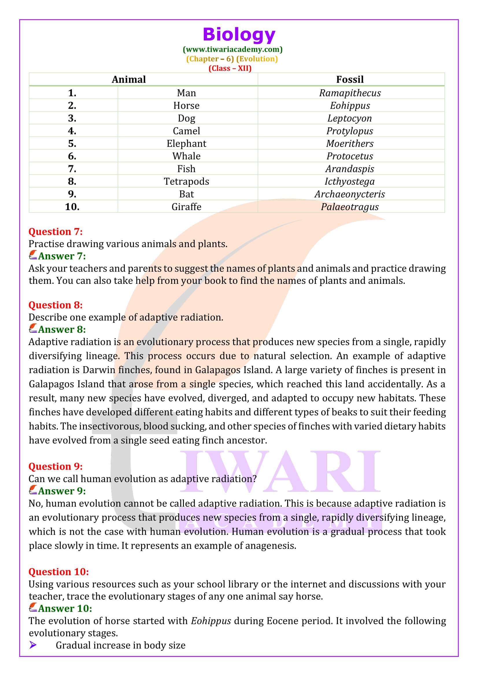 NCERT Solutions for Class 12 Biology Chapter 6 in English Medium