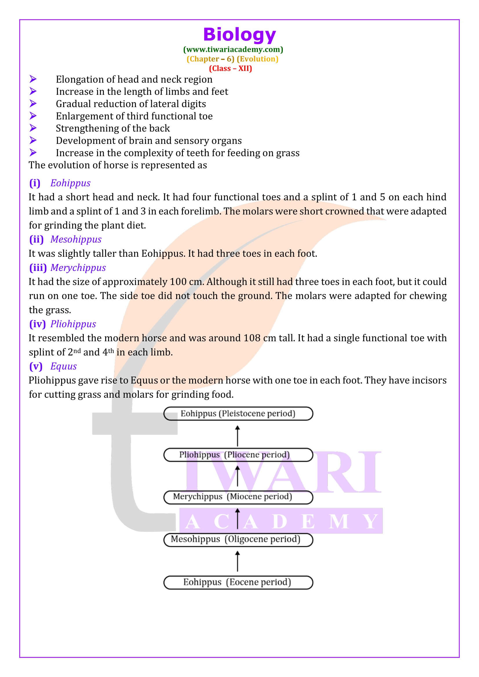 Class 12 Biology Chapter 6