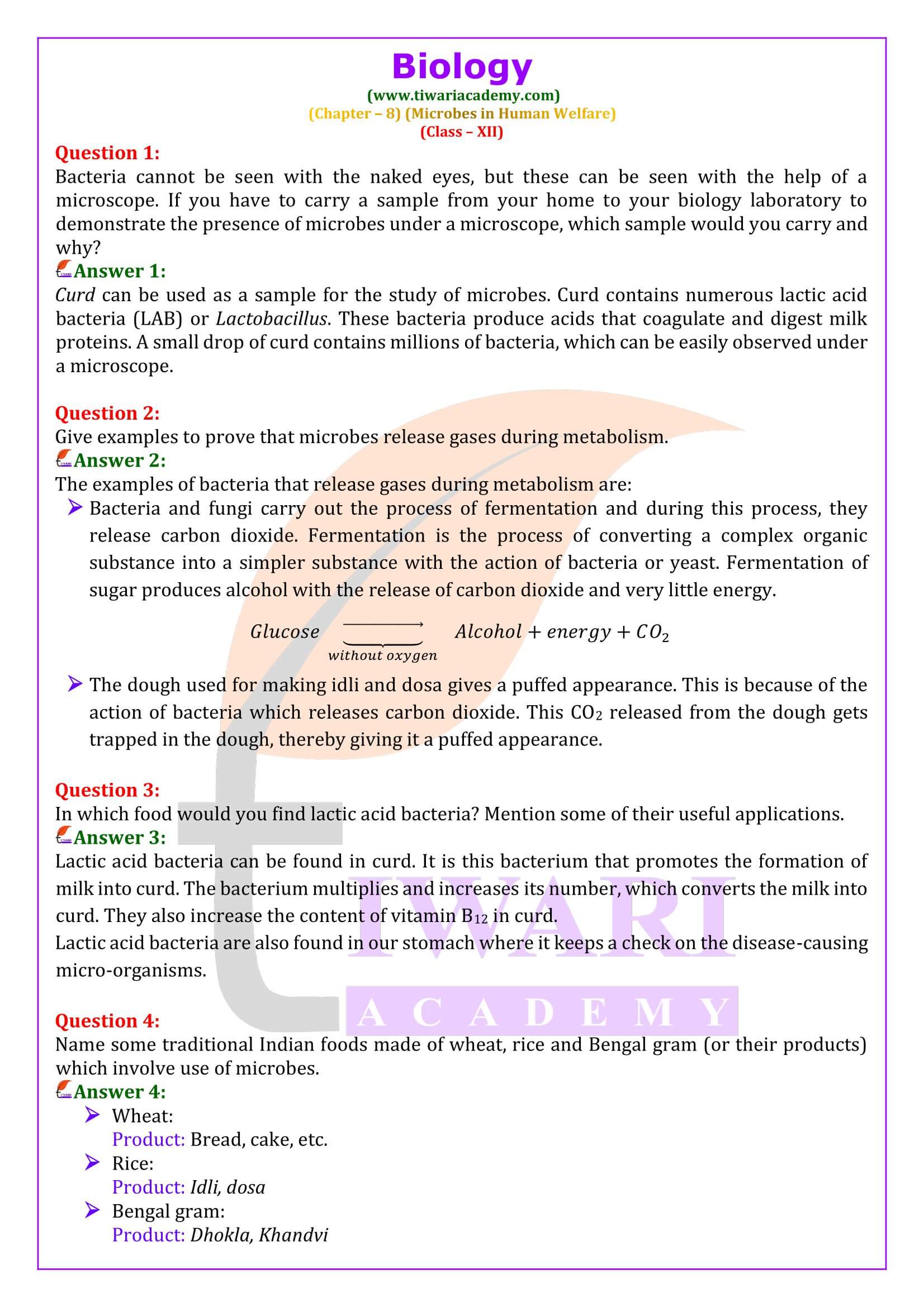 Class 12 Biology Chapter 8 Microbes in Human Welfare