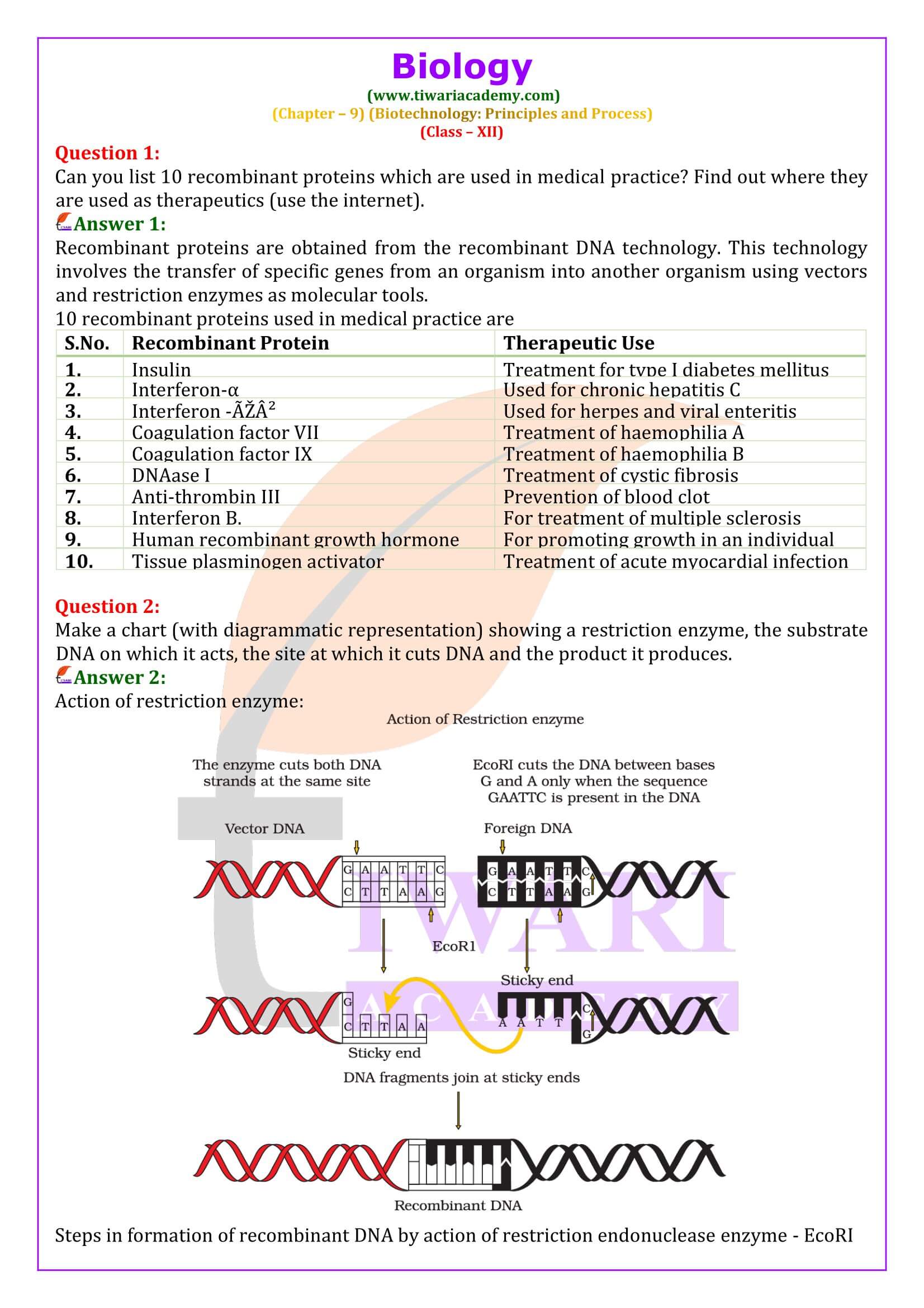 Class 12 Biology Chapter 9 Biotechnology Principles and Processes