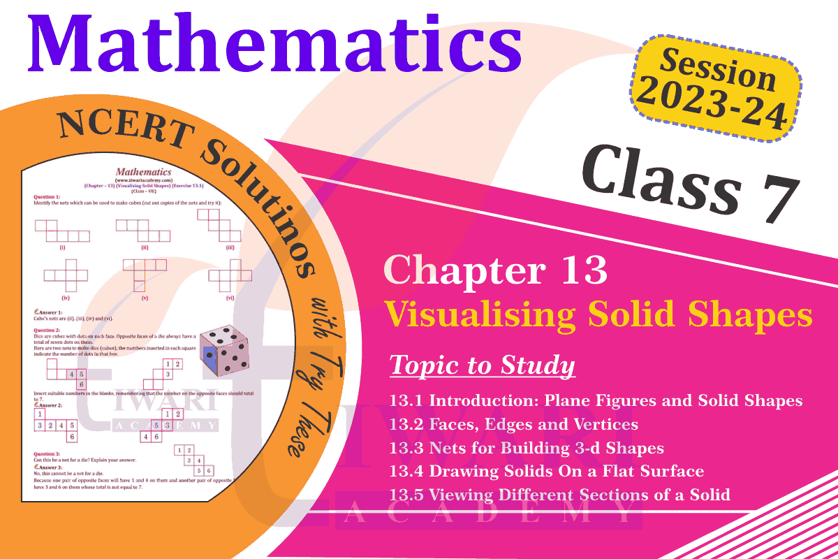 Class 7 Maths Chapter 13 Visualising Solid Shapes