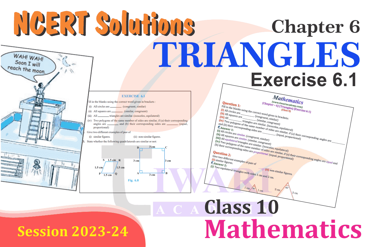 Class 10 Maths Chapter 6 Exercise 6.1