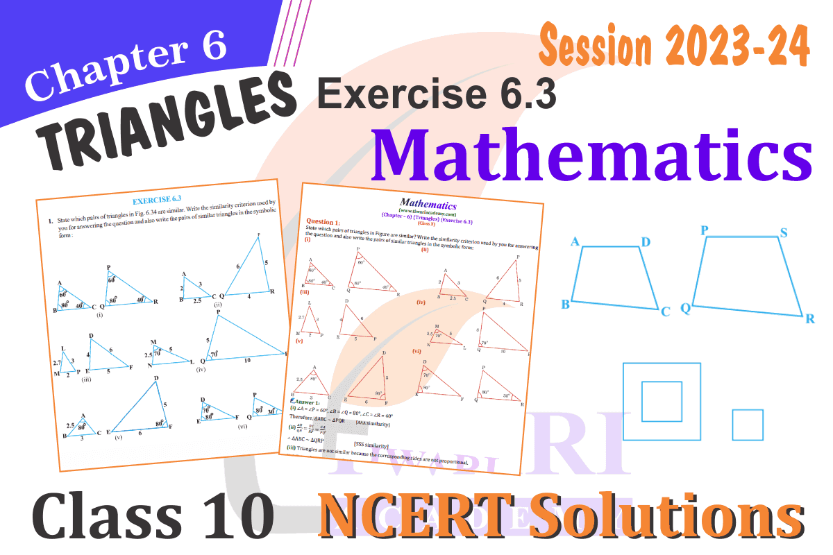 Class 10 Maths Chapter 6 Exercise 6.3