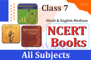 Class 7 NCERT Books