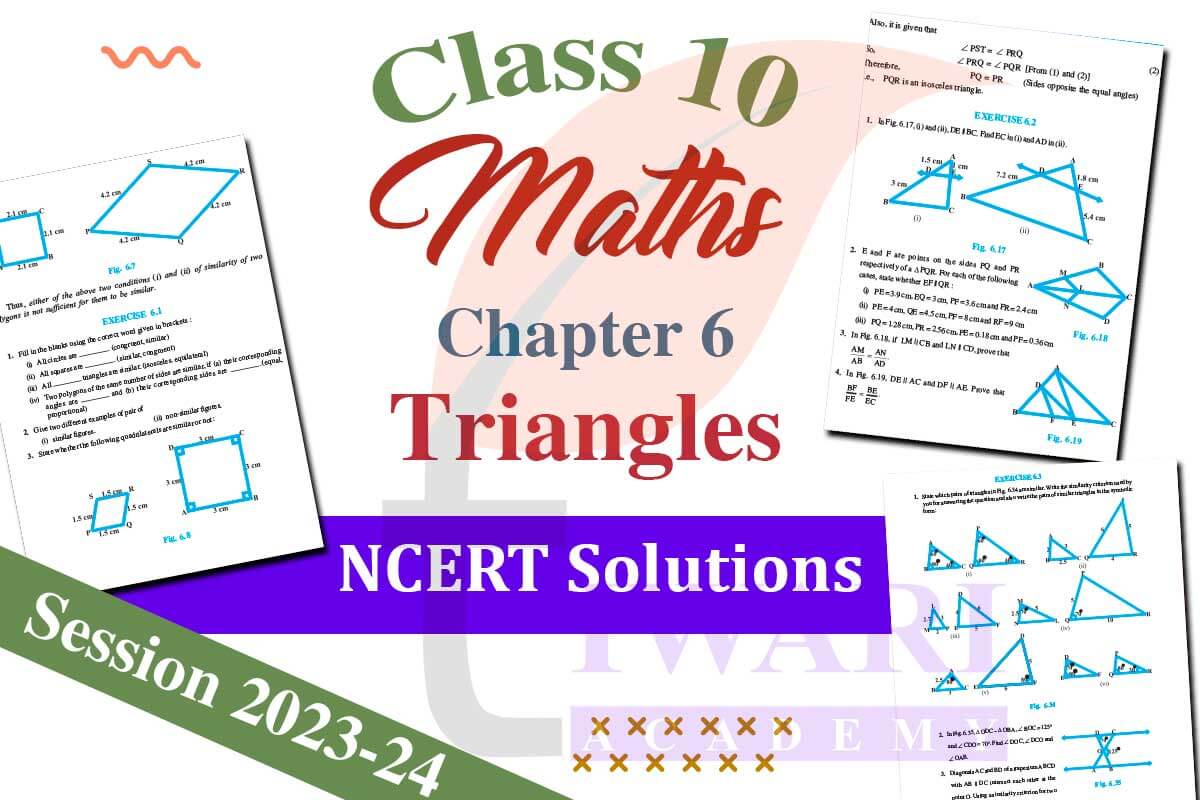 Class 10 Maths Chapter 6 Triangles Solutions