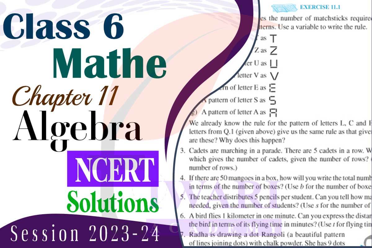 Class 6 Maths Chapter 11 Algebra