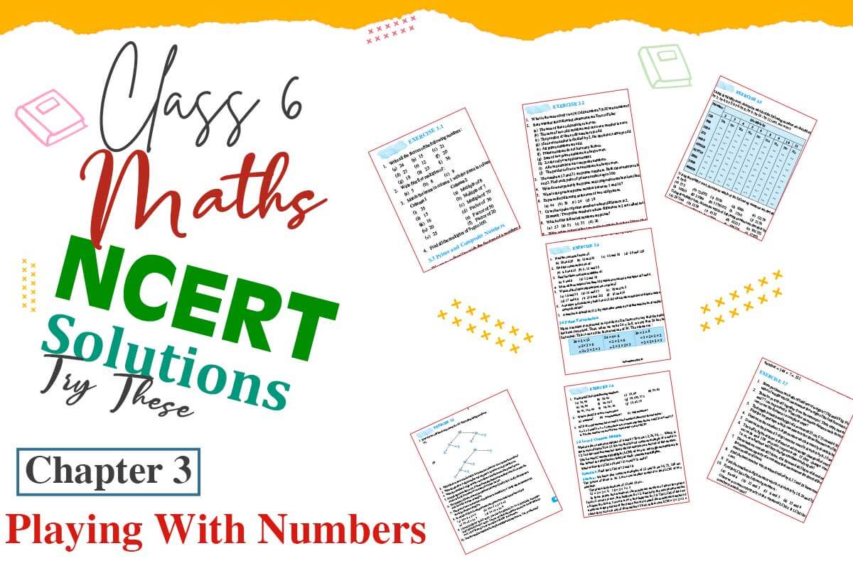 Class 6 Maths Chapter 3 Playing With Numbers