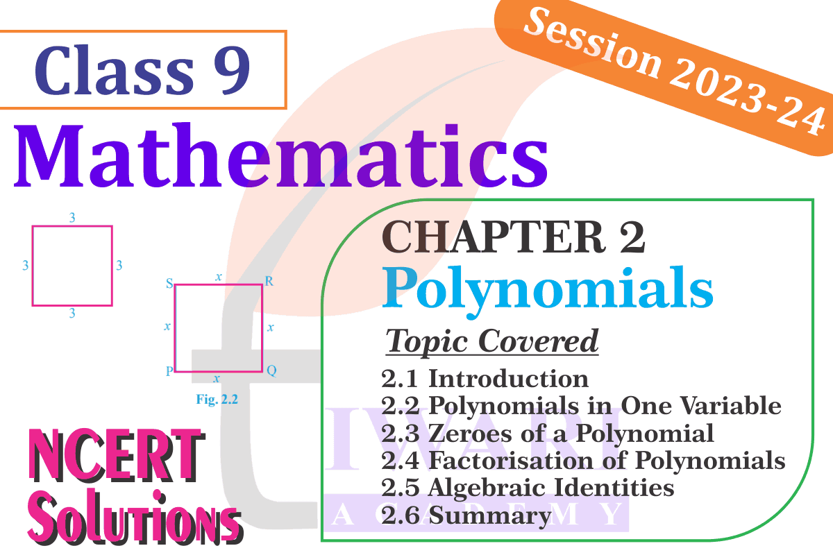 Class 9 Maths Chapter 2 Polynomials Solution