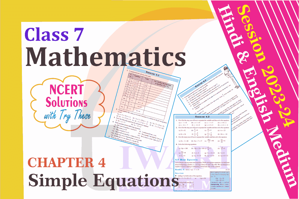 Class 7 Maths Chapter 4 Simple Equations