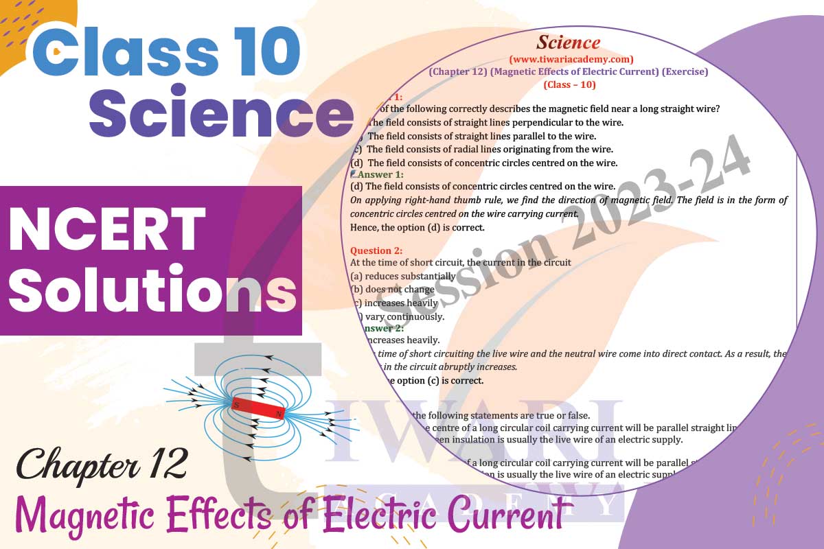 Class 10 Science Chapter 12 Solutions