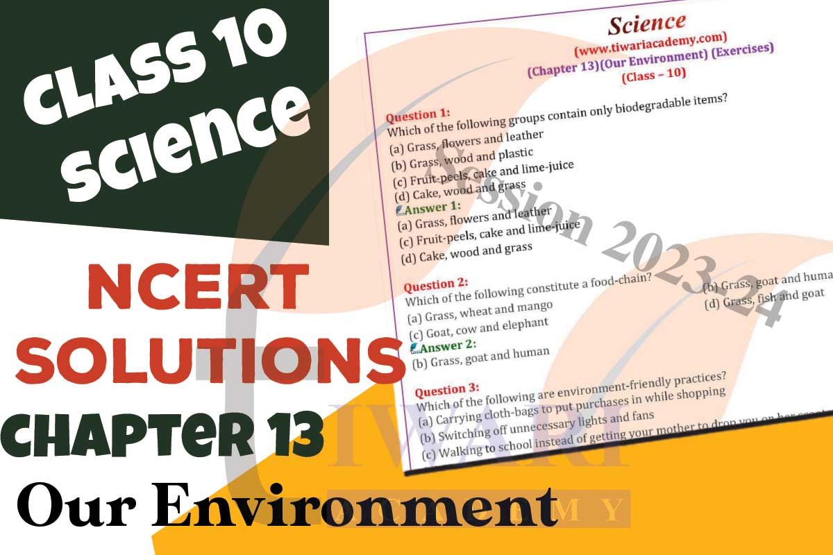 Class 10 Science Chapter 13